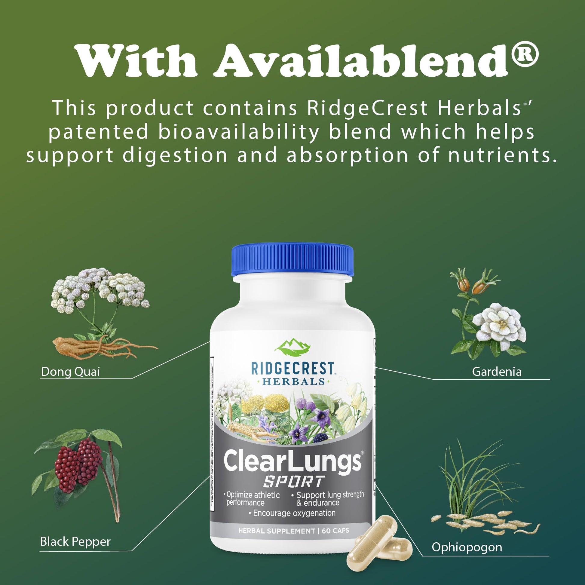 Ridgecrest Herbals ClearLungs Sport, Oxygen Intake and Lung Support Formula with Cordyceps, Rhodiola, Eleuthero (60 Vegan Caps, 30 Serv) RidgeCrest Herbals buy supplements canada