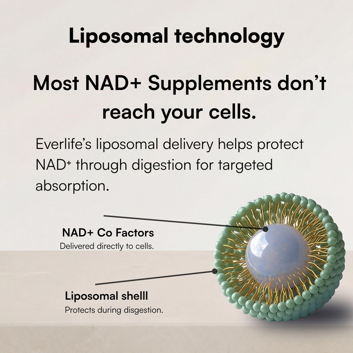 Everlife Liposomal NAD+ Liquid Supplement – 150mg Shot with Liposomal Trans-Resveratrol, TMG & Glycine – Boosts Energy, Cellular Repair, Healthy Aging & Longevity – NMNH Alternative – 30 Servings Everlife buy supplements canada