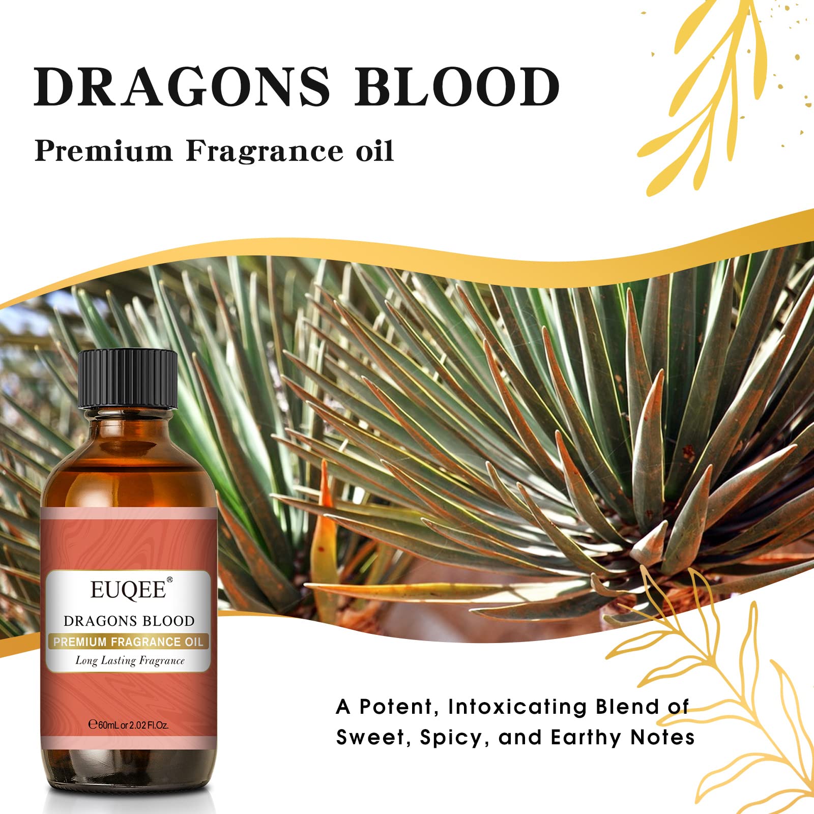 EUQEE Dragons Blood Fragrance Oils, 60ml Scent Essential Oils with Glass Dropper for Diffusers EUQEE buy supplements canada