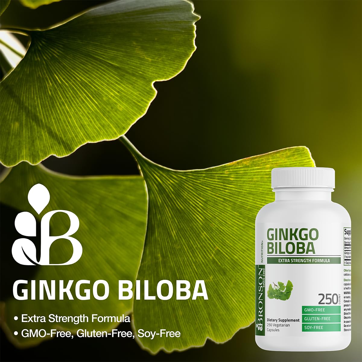 Bronson Ginkgo Biloba Extra Strength Supports Brain Function & Memory Support, 120 Vegetarian Capsules Bronson buy supplements canada
