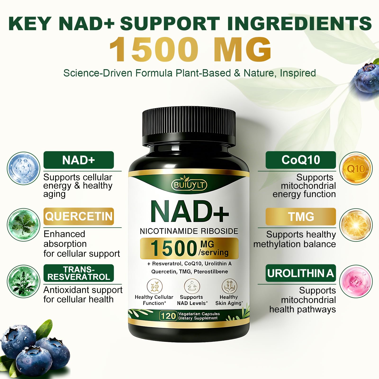 BUIUYLT NAD+ Supplement 1500mg, NR NMN Replacement with Resveratrol, Urolithin A, CoQ10 & Quercetin for Cellular Energy, Healthy Aging & Stamina for Women & Men - 120 Capsules BUIUYLT buy supplements canada
