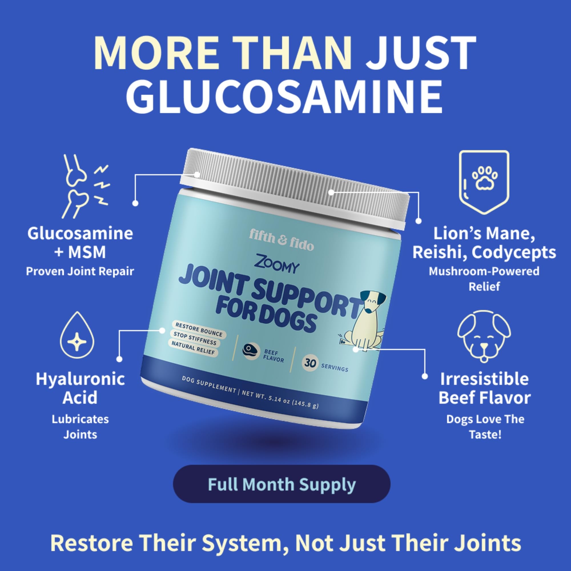 Fifth & Fido Joint Supplement for Dogs - Glucosamine for Dogs - Pet Vitamins and Supplements Powder with Chondroitin & MSM - Hip & Joint Support for Mobility, Stiffness & Flexibility - Mushroom Blend Fifth & Fido buy supplements canada