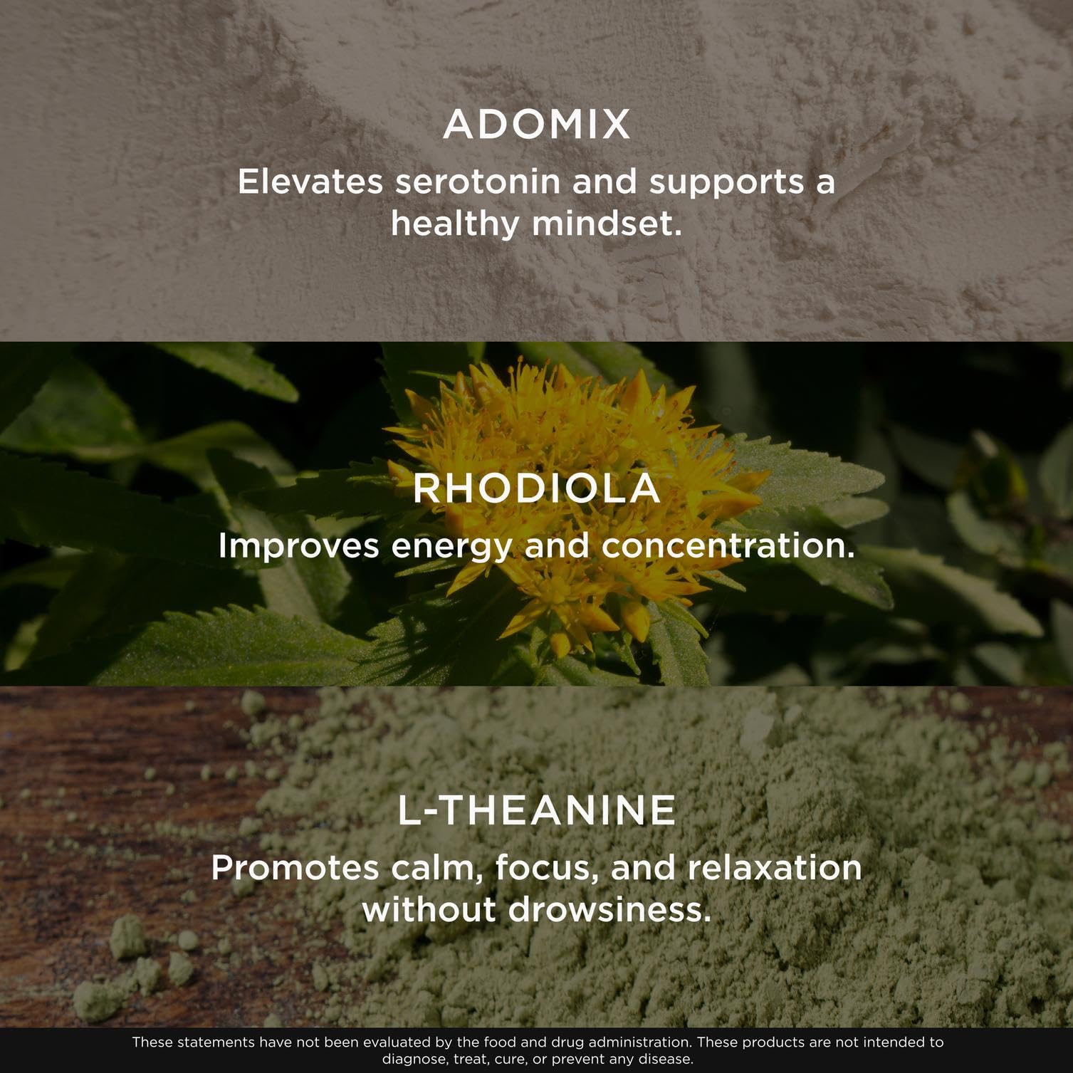 Genius Joy, Nootropic Mood Enhancer Supplement - Support Cognitive Health, Enhance Mood & Neural Function with Brain Boosting L-Theanine, Panax Ginseng & SAM-e - Organic, Non-GMO, & Gluten-Free The Genius Brand buy supplements canada