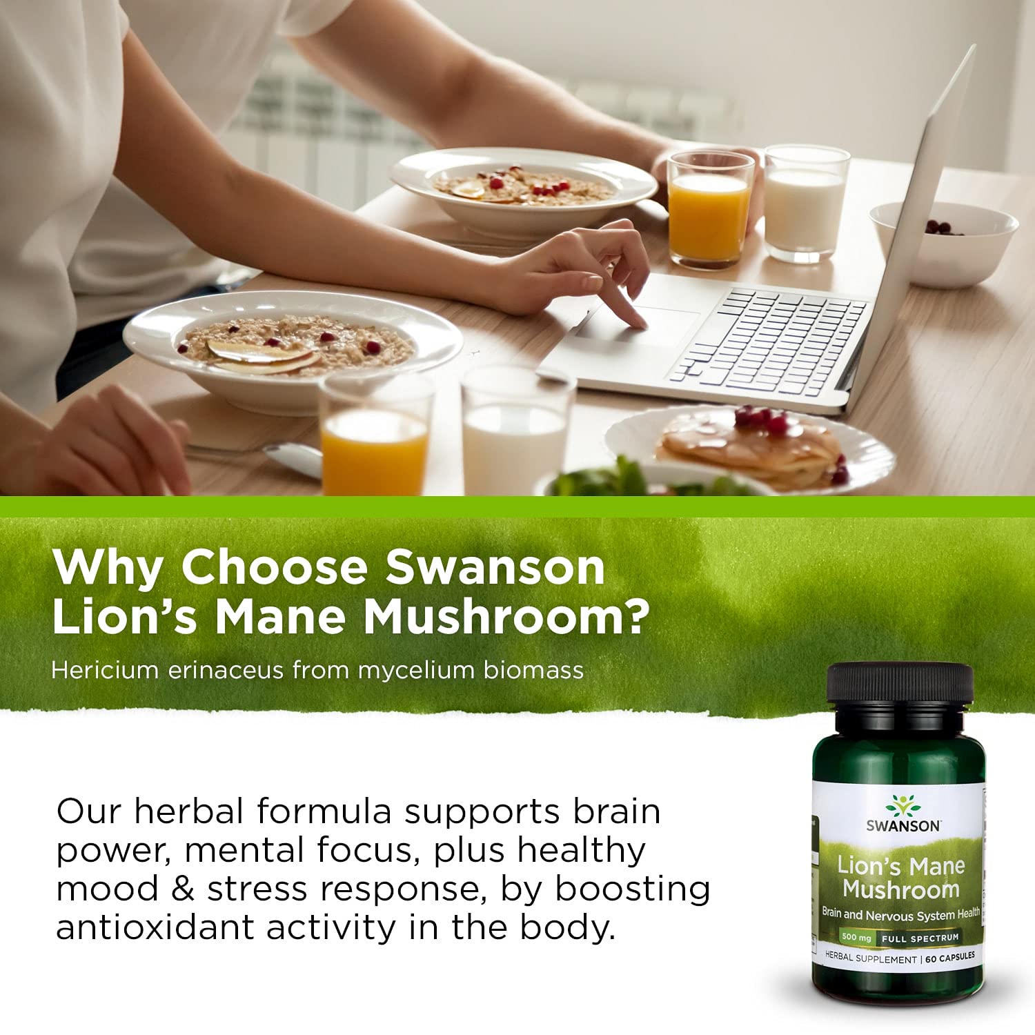 Swanson Lion's Mane Mushroom Capsules - 500 mg Each, 60 Capsules - Swanson buy supplements canada