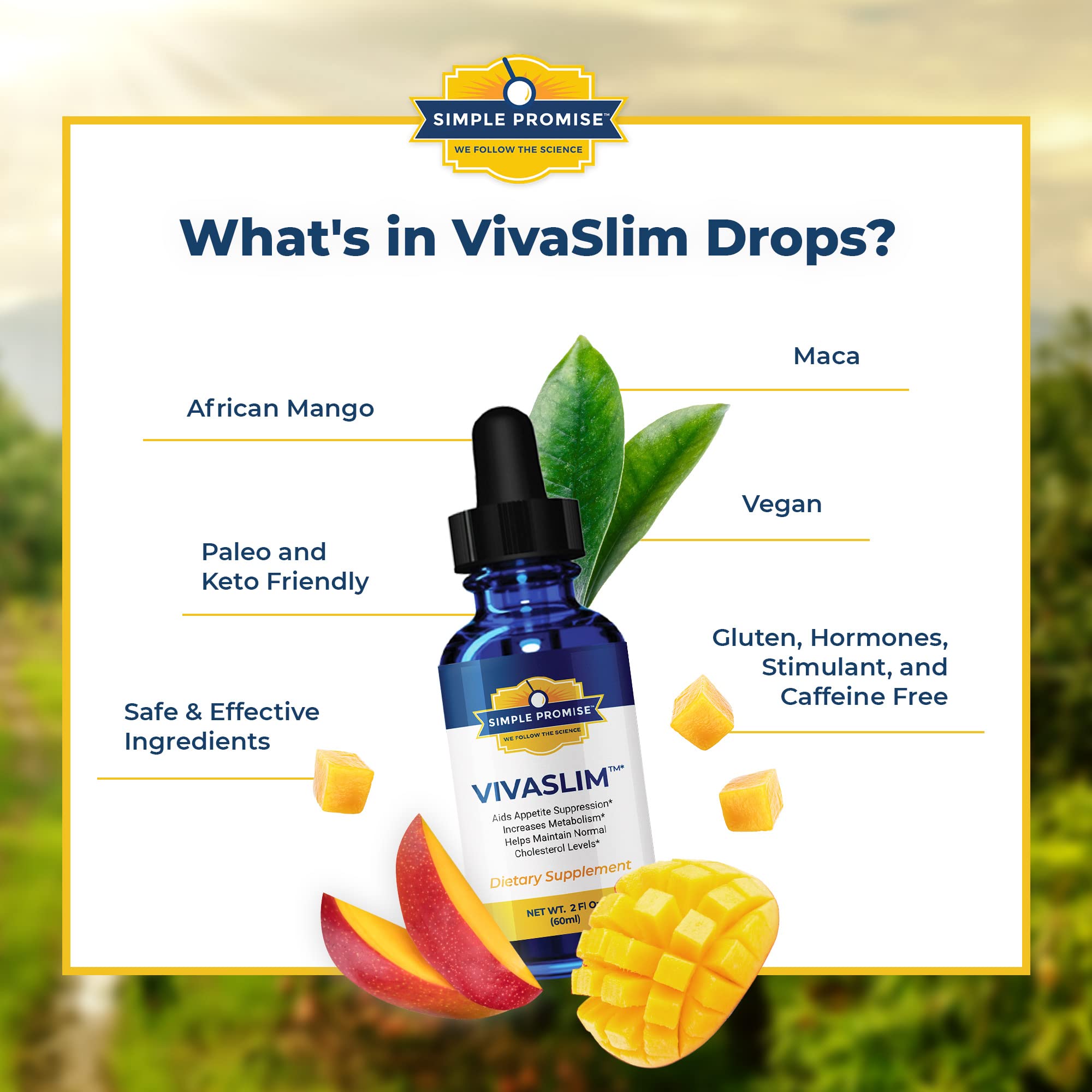 Simple Promise - VivaSlim - Natural Liquid Drops with African Mango, 2 fl oz Simple Promise buy supplements canada