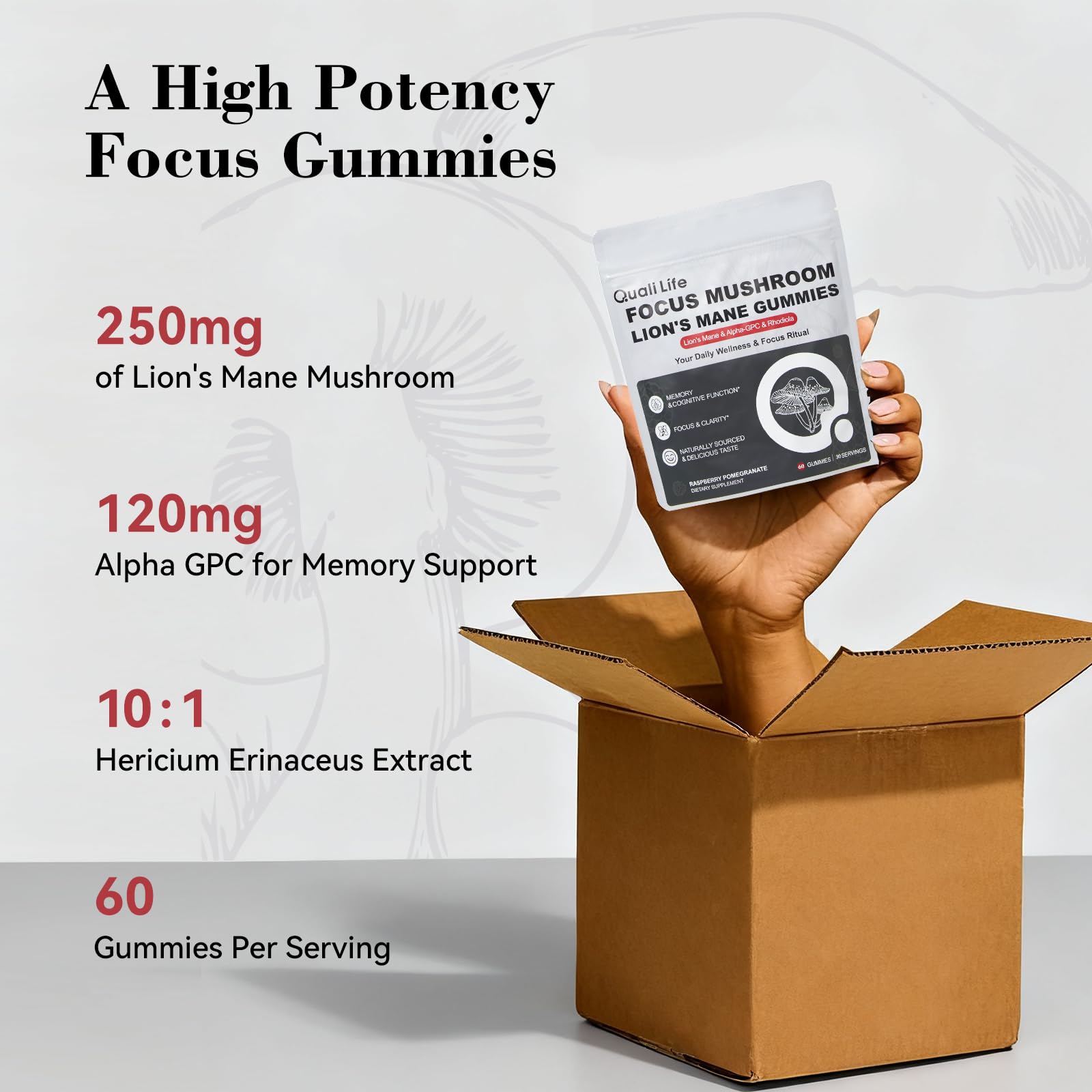 Mushroom Gummies with Lion’s Mane - Alpha Brain Gummy for Focus & Memory - Nootropic Focus Gummies with Rhodiola & Alpha-GPC – Vegan Brain Supplement, Raspberry Pomegranate Flavor, 60 Count (1) QualiLife buy supplements canada