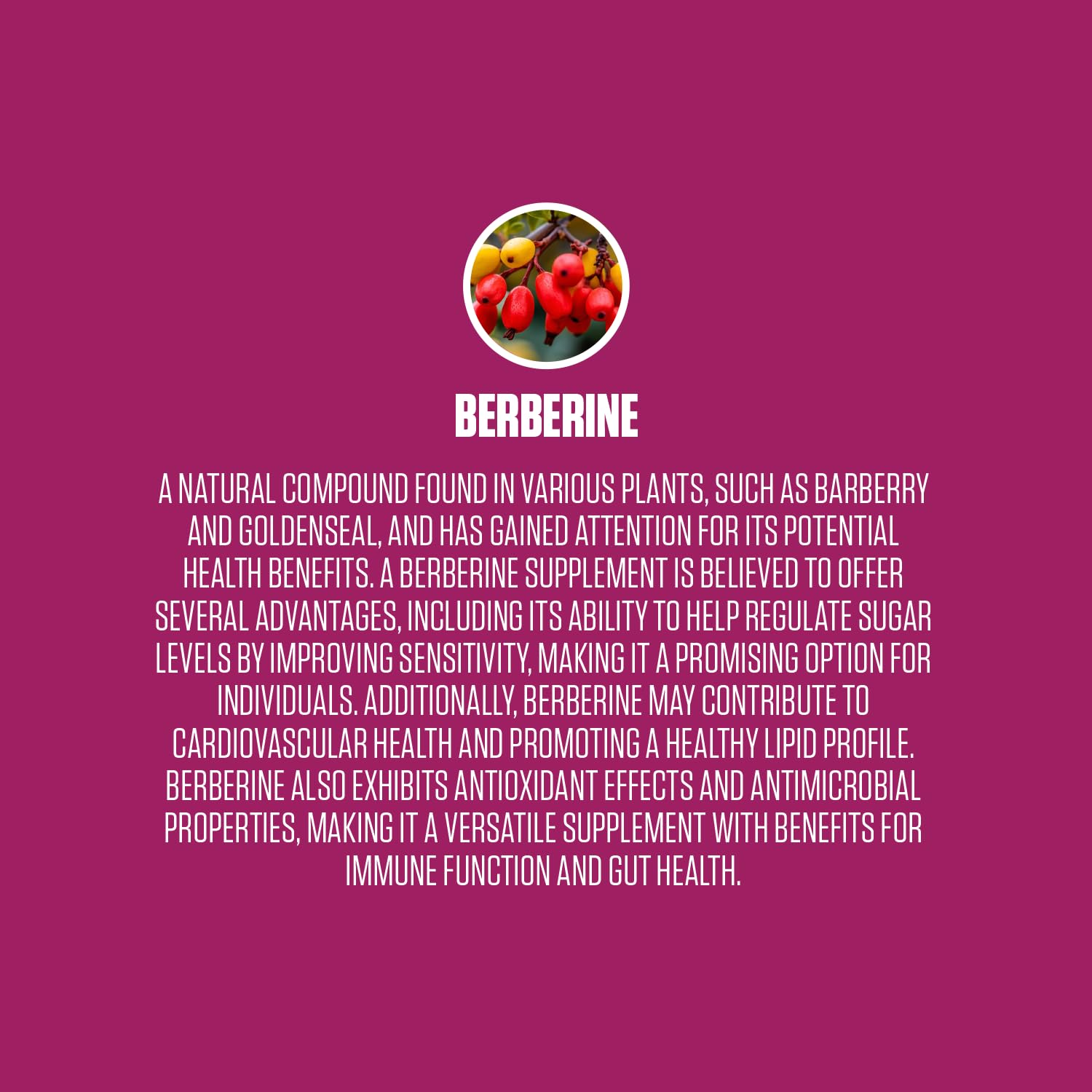 Berberine Extra Strength | #1 Rated Berberine Supplement for Heart Health, Improve Energy EPN Supplements buy supplements canada