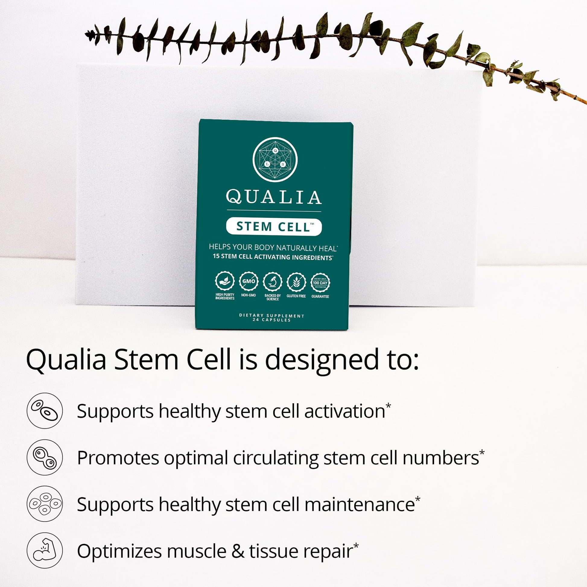 Qualia Stem Cell — Stem Cell Supplement Support with Royal Jelly, Astragalus & Sea Buckthorn | 16 Ingredients | 4 Days a Month | Helps Body Naturally heal* QUALIA LIFE SCIENCES buy supplements canada