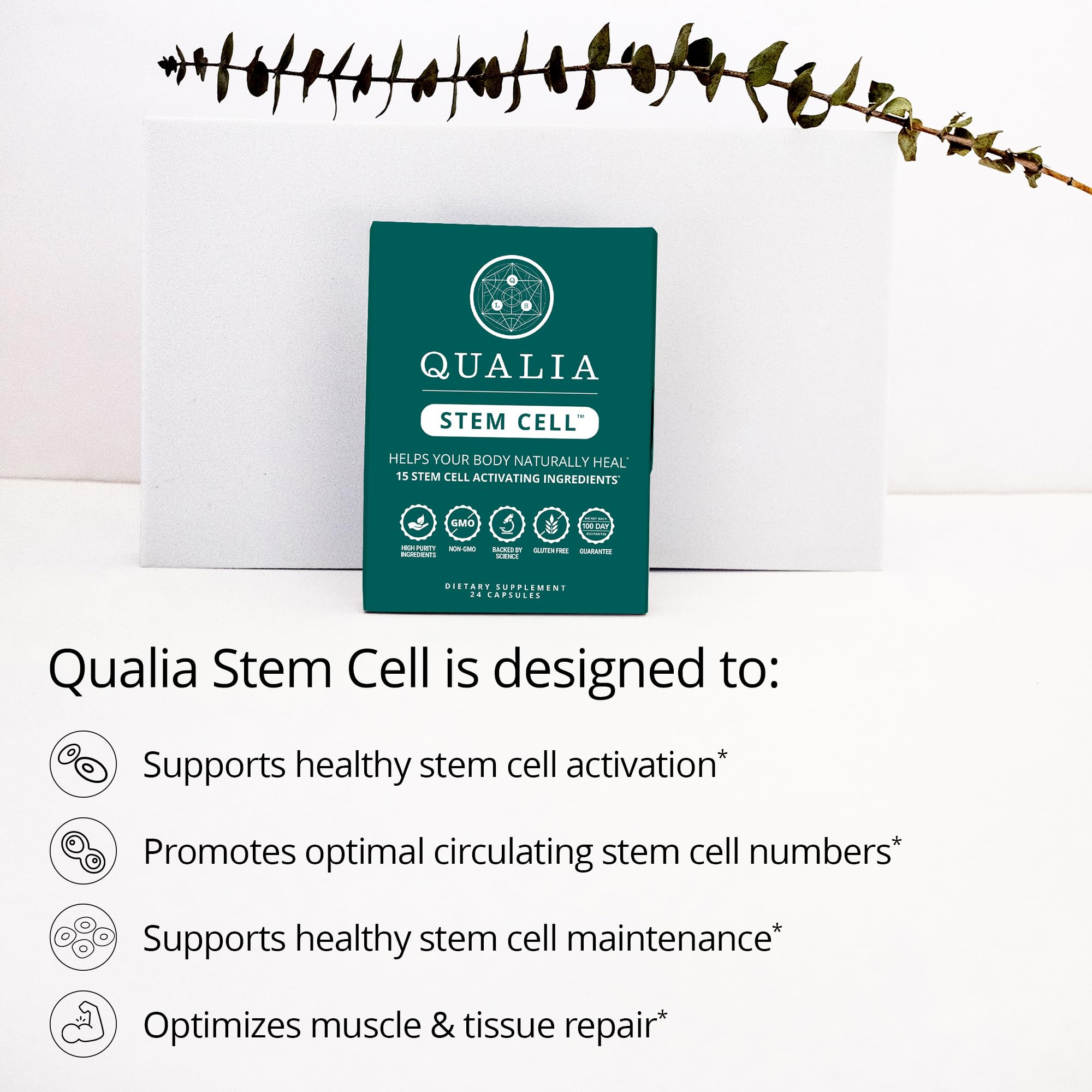 Qualia Stem Cell — Stem Cell Supplement Support with Royal Jelly, Astragalus & Sea Buckthorn | 16 Ingredients | 4 Days a Month | Helps Body Naturally heal* QUALIA LIFE SCIENCES buy supplements canada