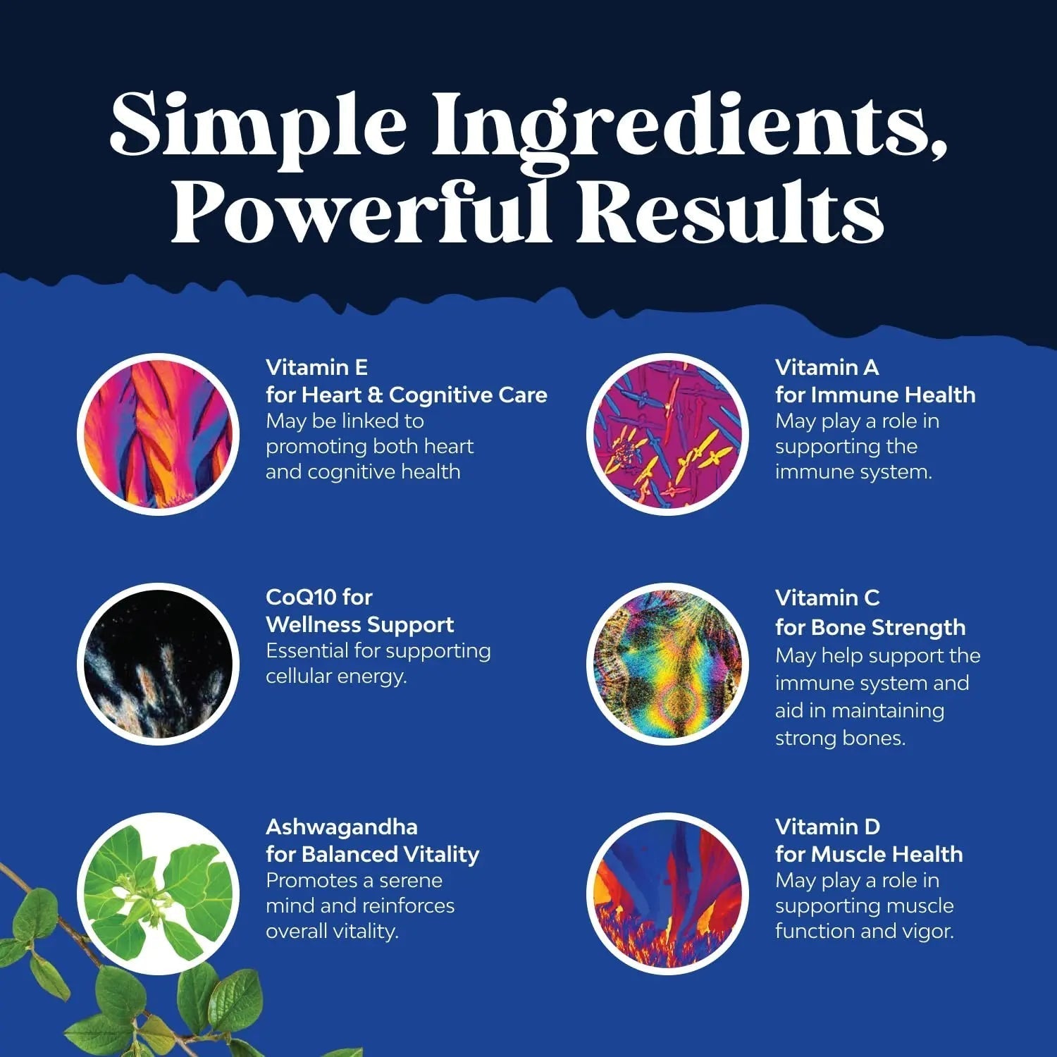 Bundle of Daily Mens Multivitamins Gummies with Zinc and Biotin for Energy and Immunity and Daily Multivitamin for Women Gummies - Gummy Vitamins for Health and Wellness Natures Craft buy supplements canada