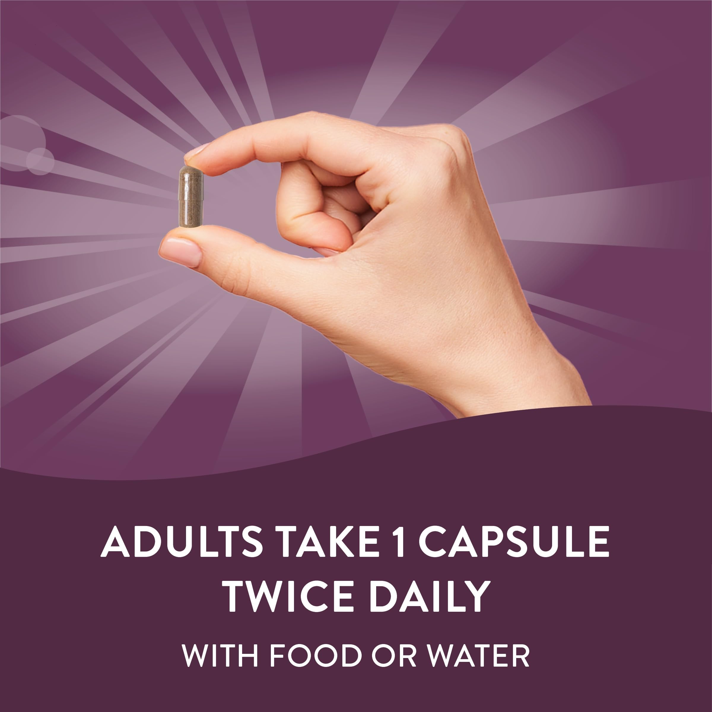 Nature's Way Standardized Horse Chestnut, Premium Extract for Healthy Veins and Blood Nature's Way buy supplements canada