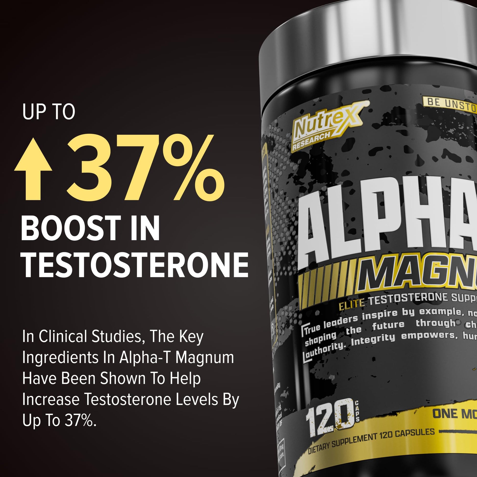 Nutrex Research Alpha-T Magnum Testosterone Support for Men | Anabolic Supplement with Tongkat Ali, Fadogia Agrestis, Shilajit and Ashwagandha | Muscle Builder for Strength, Growth & Hormone Balance Nutrex Research buy supplements canada