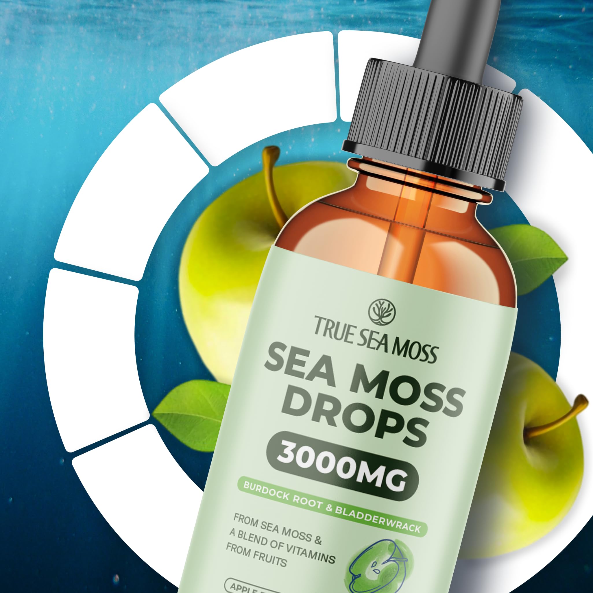 Irish Sea Moss Liquid Drops - 3000mg Formula - with Bladderwrack, Burdock Root & Black Cumin Seed - Liquid Supplement - Apple Flavor - 2 Fl Oz (60ml) TrueSeaMoss buy supplements canada