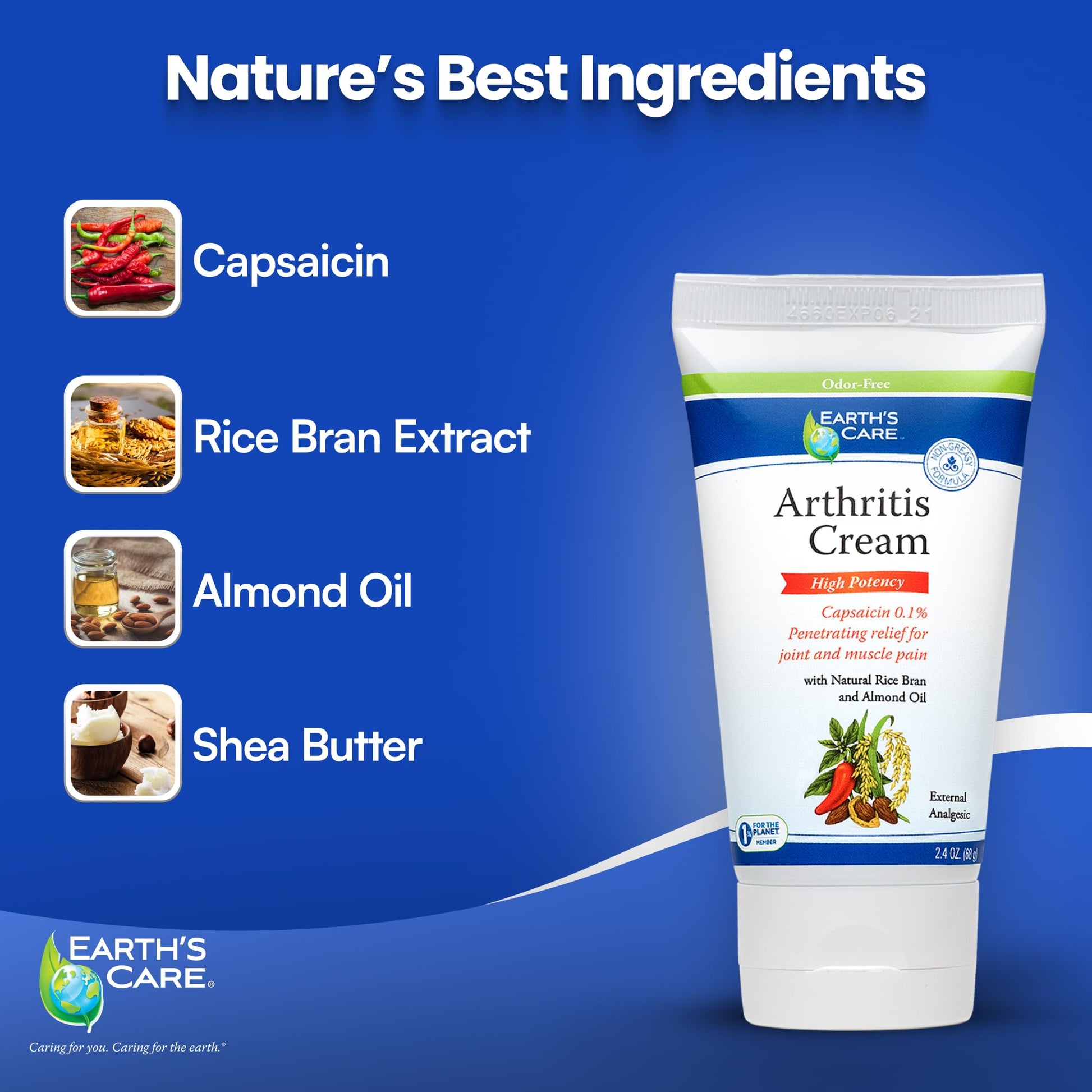Earth's Care Arthritis Cream - Joint Cream with Natural Capsaicin - Topical Analgesic 2.4 OZ (Pack of 2) Earth's Care buy supplements canada