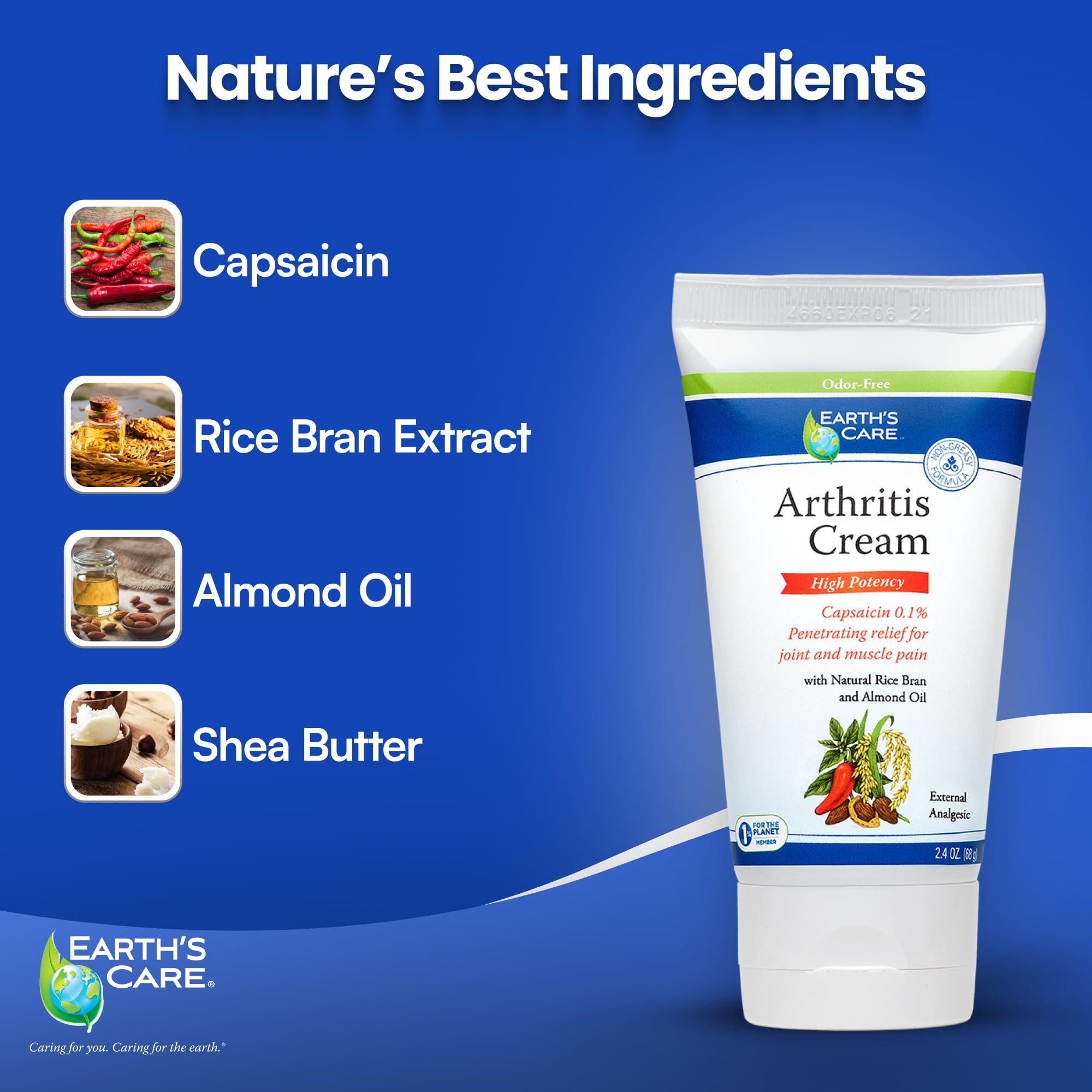 Earth's Care Arthritis Cream - Joint Cream with Natural Capsaicin - Topical Analgesic 2.4 OZ (Pack of 2) Earth's Care buy supplements canada