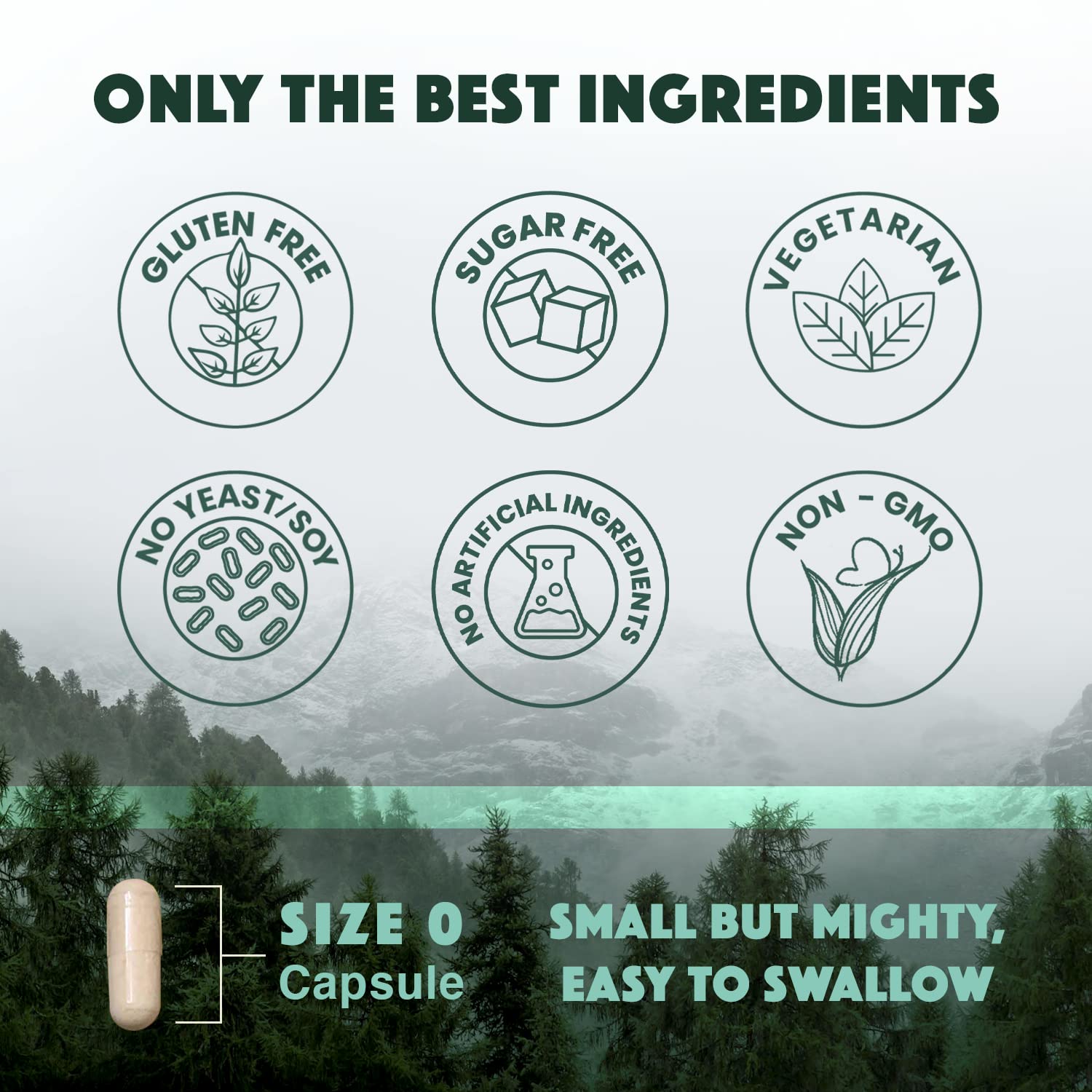 Natural Rhythm Triple Calm Magnesium Complex - 120 Capsules, Chelated Magnesium Glycinate, Taurate & Malate, High Absorption Supplement for Sleep, Stress, Muscle & Heart Support, Non-GMO, Vegan Natural Rhythm buy supplements canada
