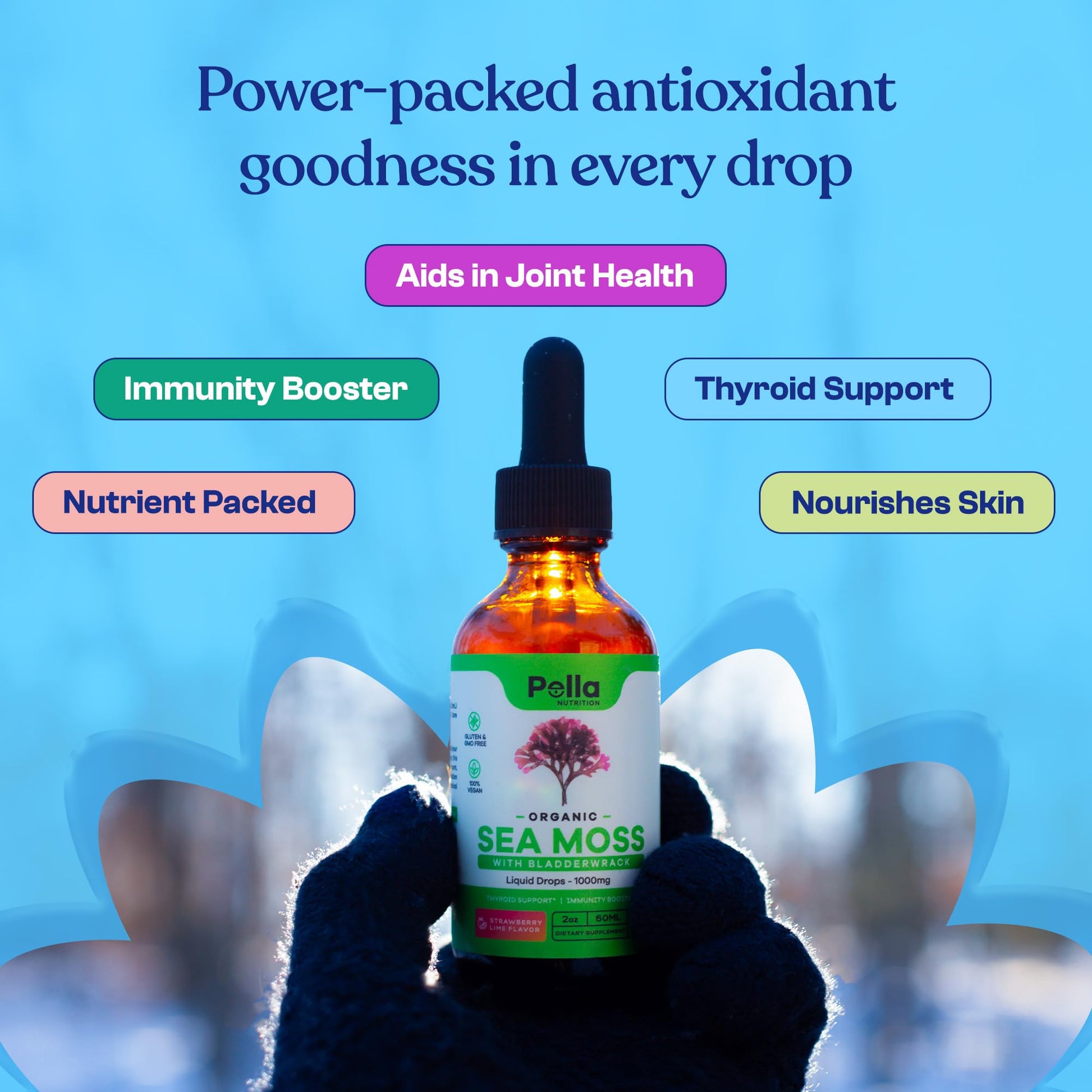 Organic Sea Moss Drops - 1000mg Irish Sea Moss - 4X Stronger than Sea Moss Gel Pella Nutrition buy supplements canada