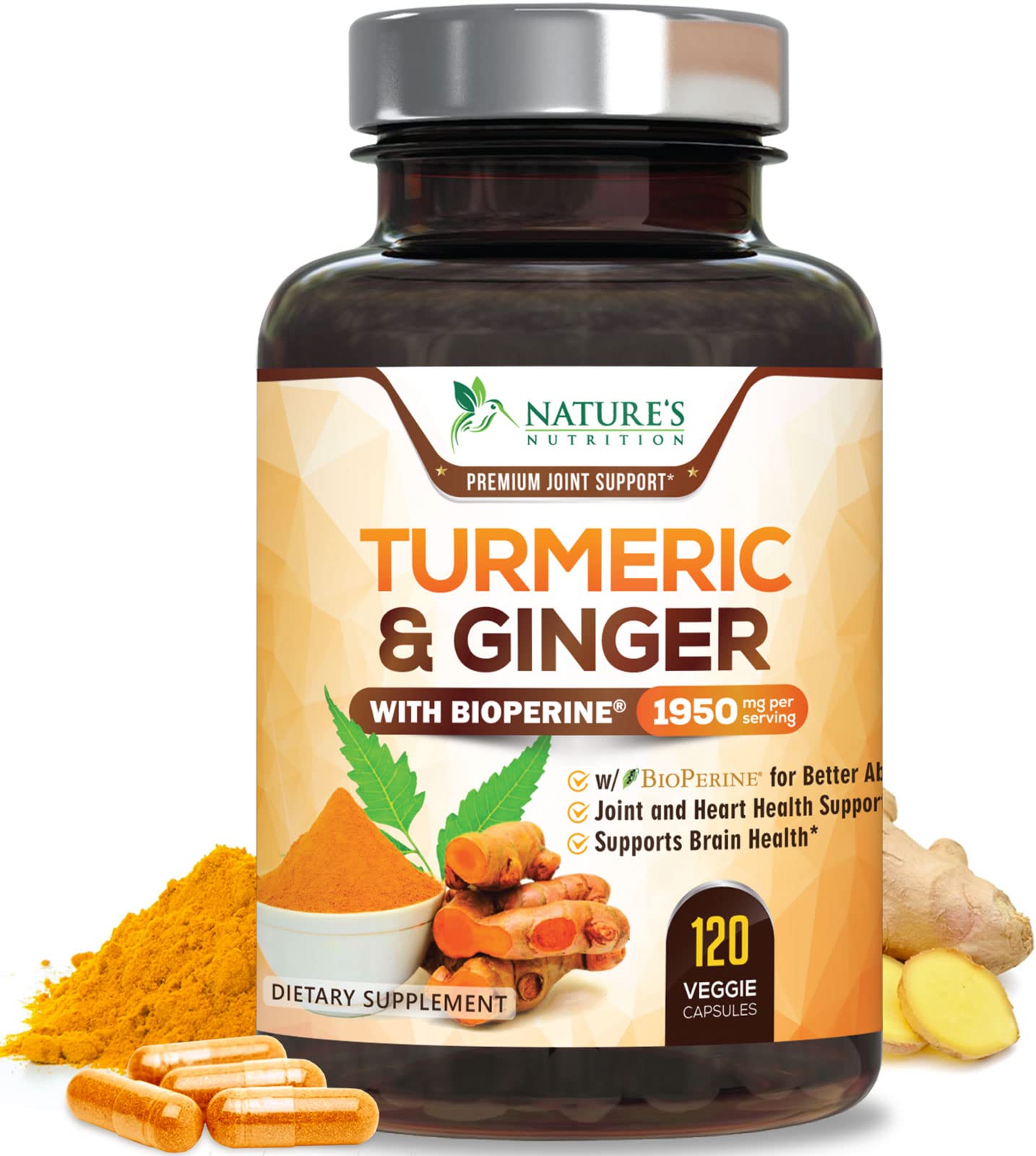 Turmeric Curcumin with BioPerine & Ginger 95% Standardized Curcuminoids Nature's Nutrition buy supplements canada