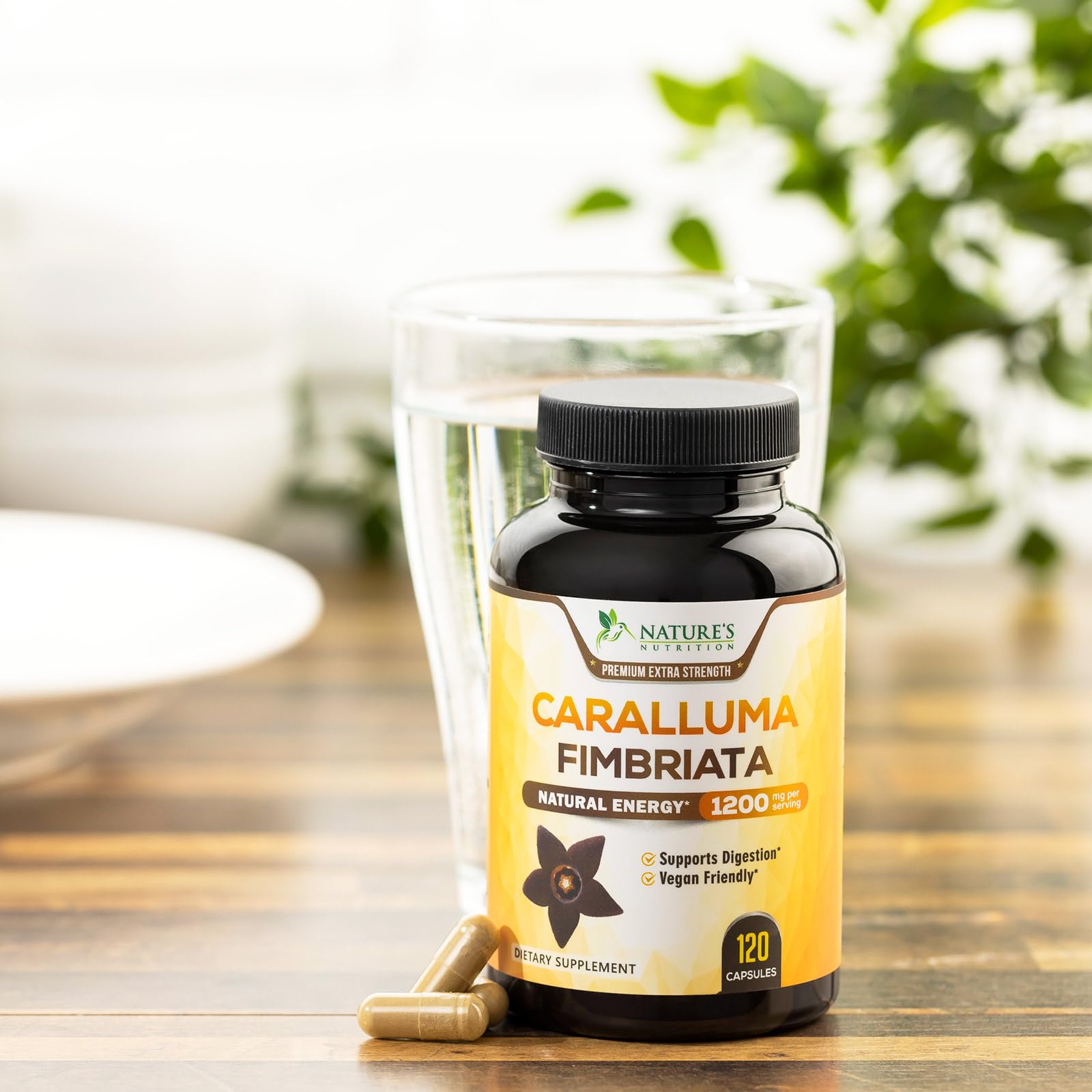 Pure Caralluma Fimbriata Extract Highly Concentrated 1200mg - Natural Endurance Support Nature's Nutrition buy supplements canada