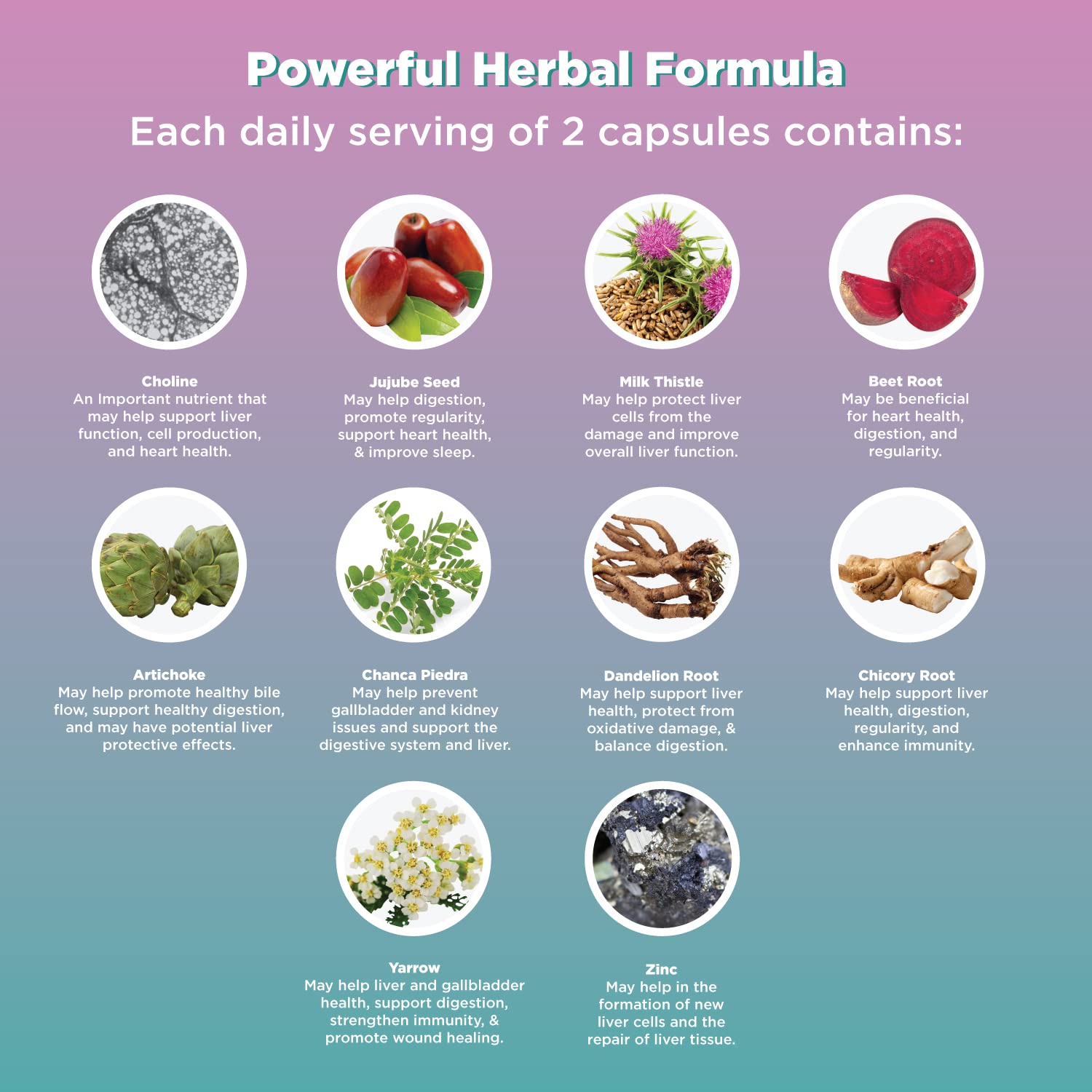 Liver Cleanse Detox & Repair Formula - Herbal Liver Support Supplement Natures Craft buy supplements canada