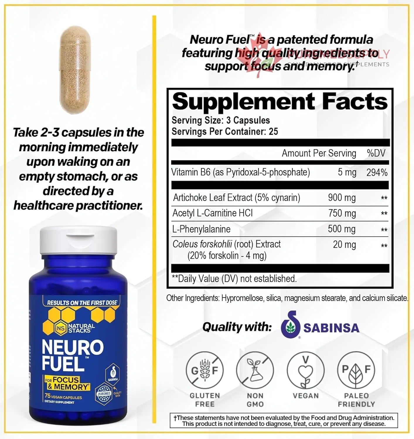 NATURAL STACKS Original NeuroFuel Nootropic Brain Support Supplement - 750mg L-Carnitine & 500mg L-Phenylalanine - Brain Supplement for Memory and Focus* - 75 Focus Pills NATURAL STACKS buy supplements canada