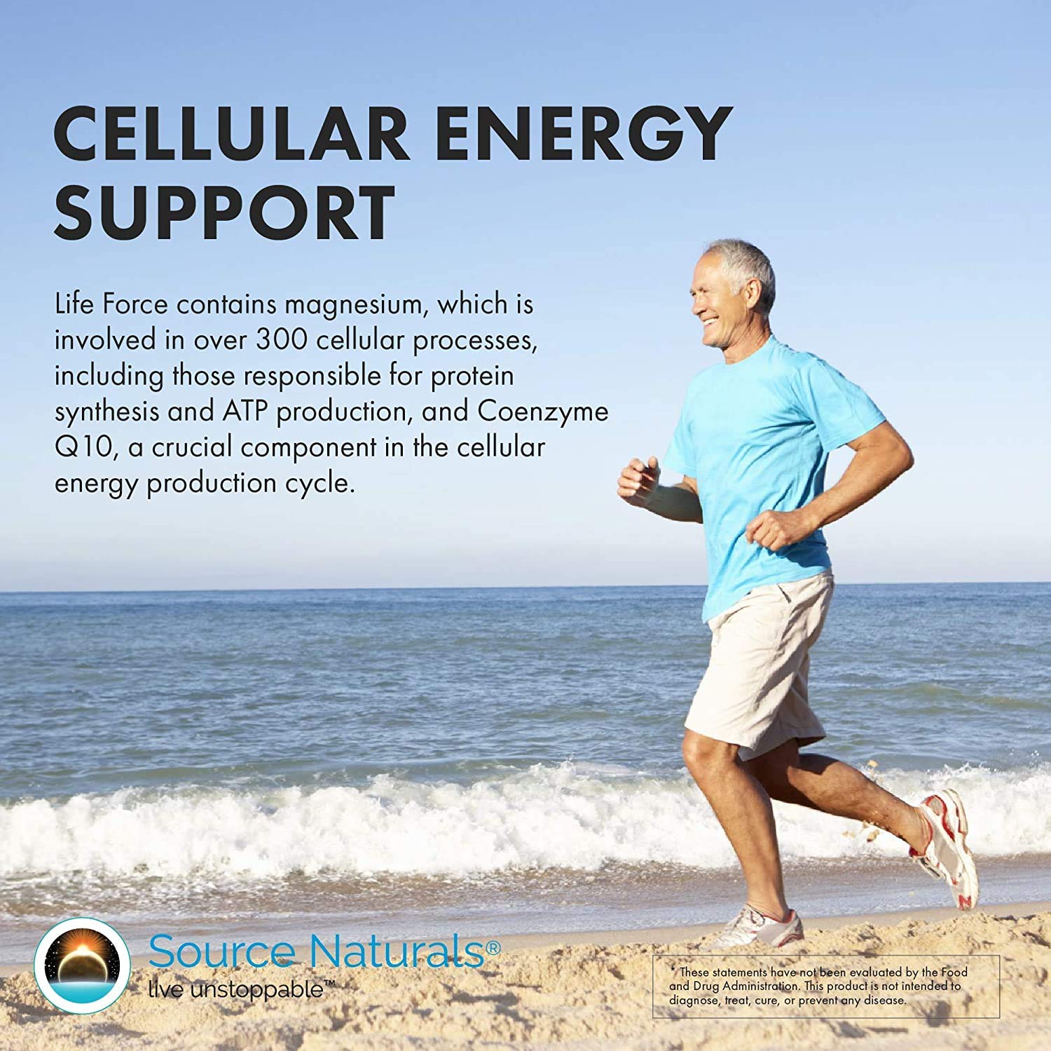 Source Naturals Life Force Multiple Daily Multivitamin High Potency Essential Vitamins, Minerals, Antioxidants & Nutrients - Energy & Immune Boost - 30 Tablets Source Naturals buy supplements canada