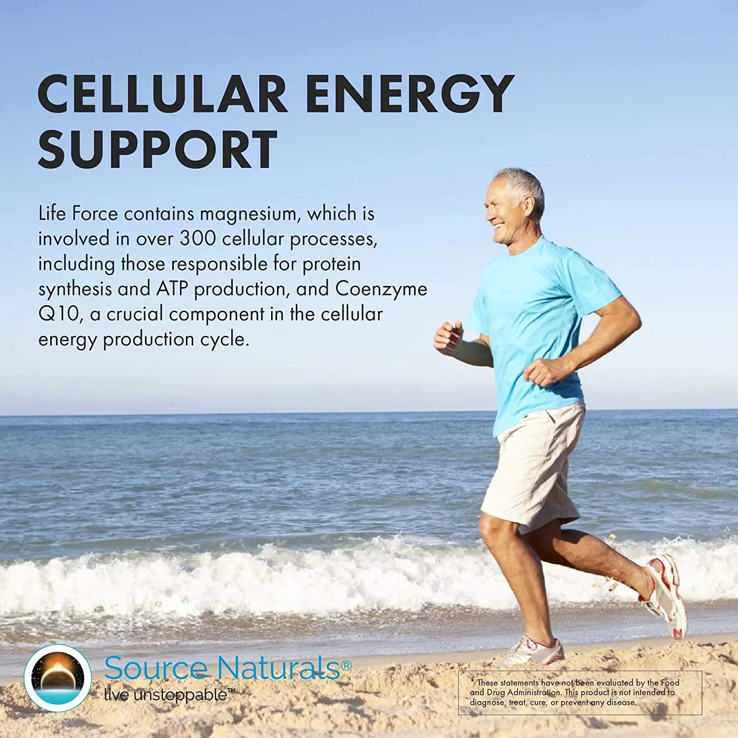 Source Naturals Life Force Multiple Iron Free Daily Multivitamin High Potency Essential Vitamins, Minerals, Antioxidants & Nutrients - Energy & Immune Boost* - 60 Capsules Source Naturals buy supplements canada