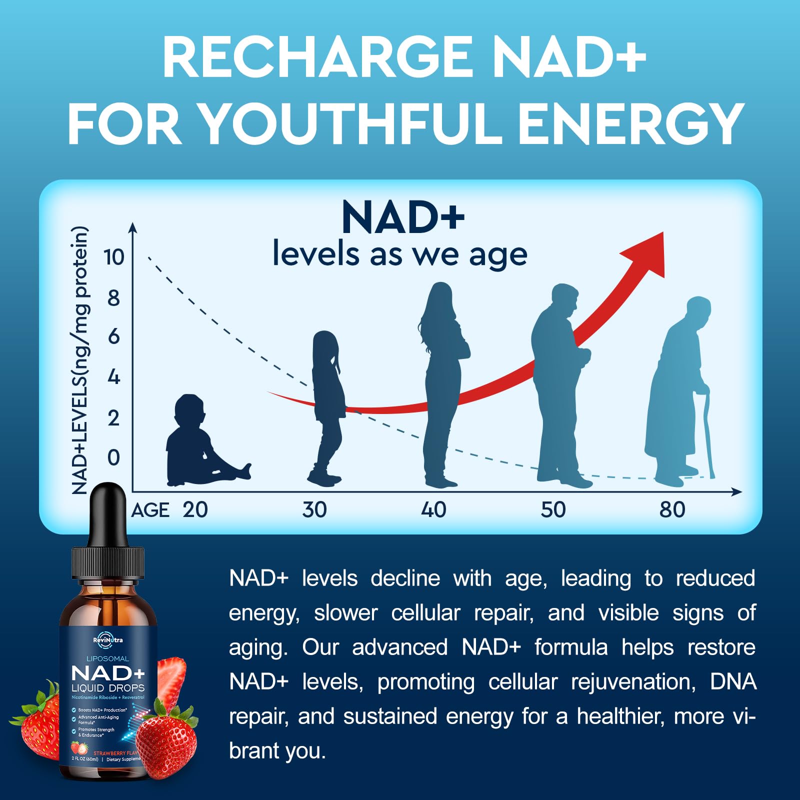 Liposomal NAD+ Liquid Supplement, Nad Resveratrol Supplement for Women & Men, Nicotinamide Riboside with PQQ, CoQ10, Quercetin for Anti-Aging, Brain, Cellular Energy Health, Strawberry Flavor, 2 Fl Oz ReviNutra buy supplements canada