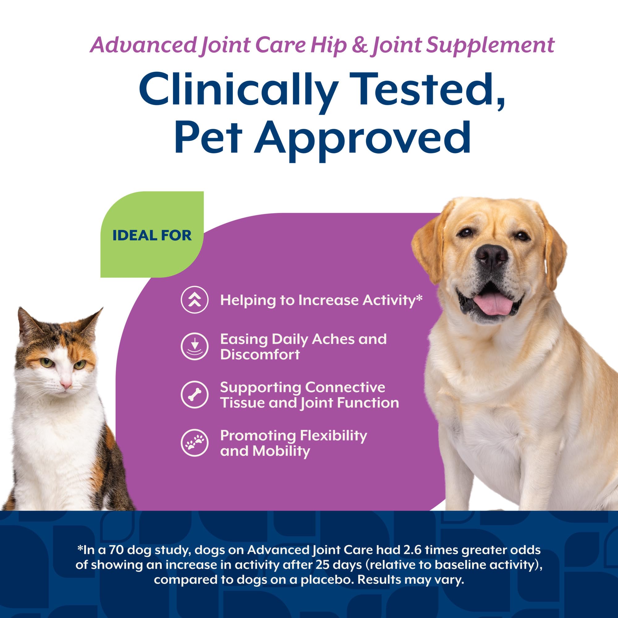 NaturVet ArthriSoothe-Gold Level 3 Advanced Joint Care for Dogs – Soft Chew Dog Supplement with Glucosamine, MSM, Chondroitin & Hyaluronic Acid – Wheat-Free Pet Supplements – 180 Ct. NaturVet buy supplements canada