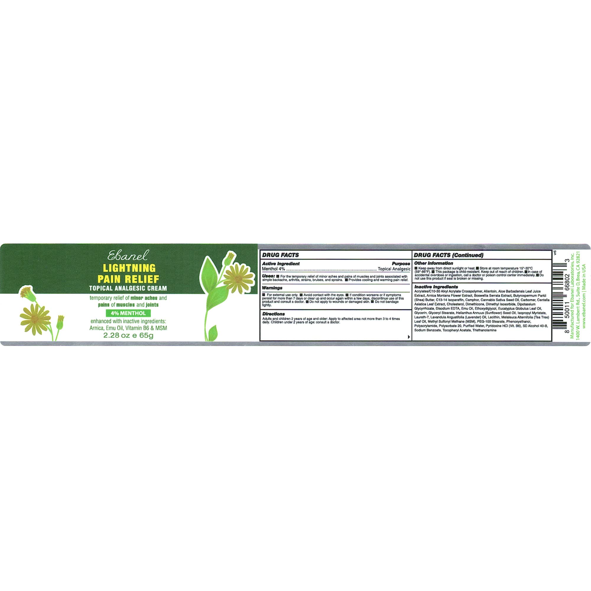 Ebanel Bundle of Pain Relief Cream Arnica Menthol 2 Oz, and Topical Numbing Cream 4 Oz Ebanel buy supplements canada