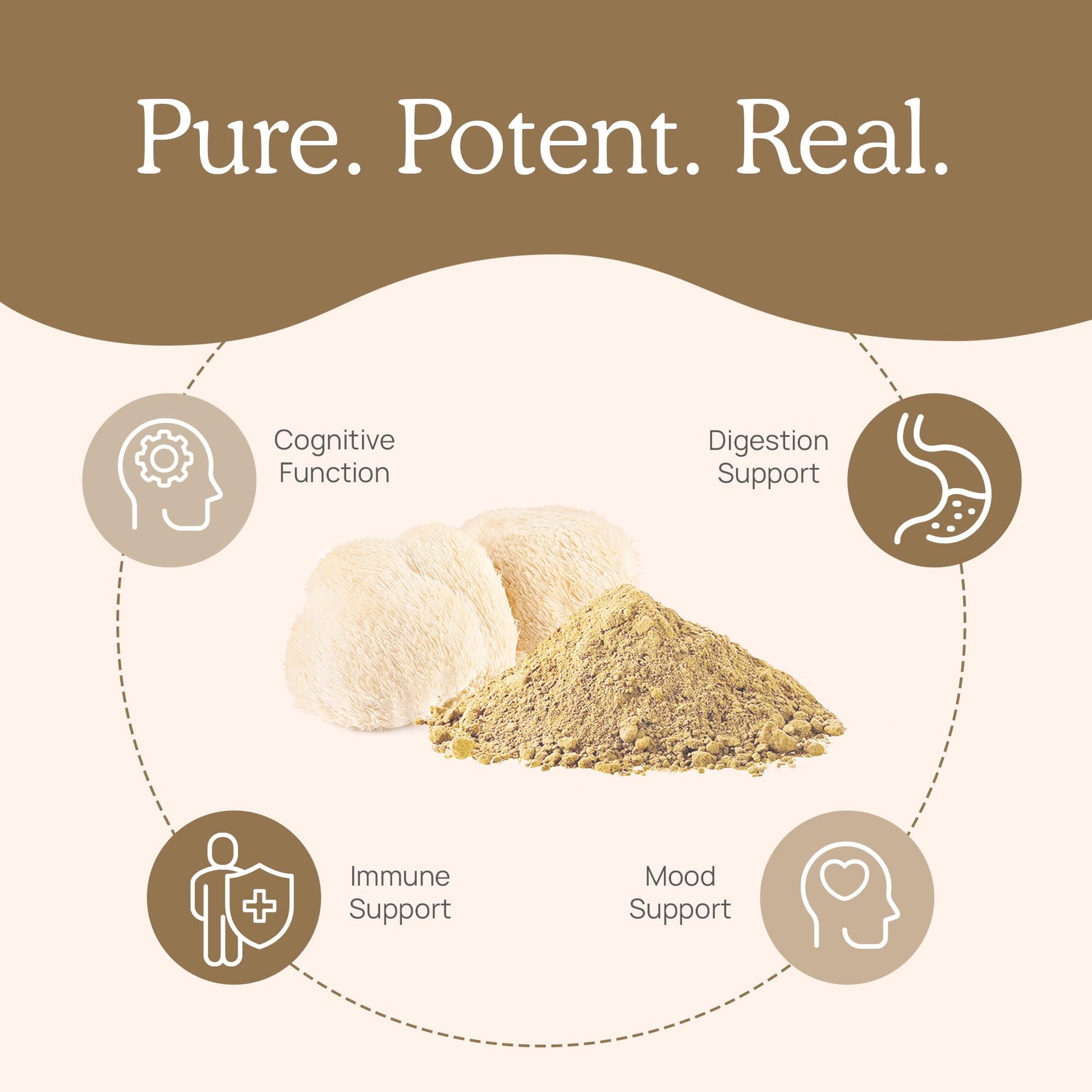 Real Mushrooms Lion’s Mane Powder - Organic Lions Mane Mushroom Extract Real Mushrooms buy supplements canada