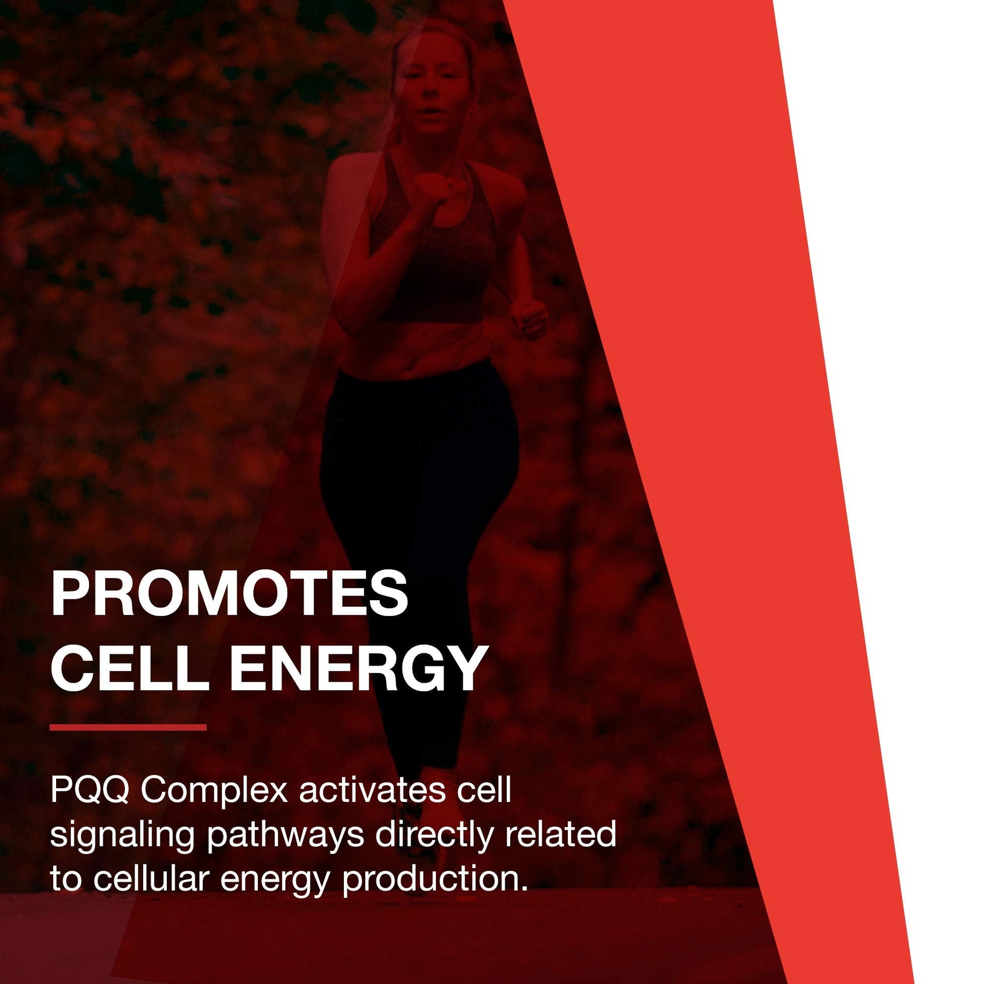 PROTOCOL FOR LIFE BALANCE PQQ Complex - Mitochondrial Health - with CoQ10 & L Carnitine - B Vitamin - Supplement for Energy - 30 Veg Caps PROTOCOL FOR LIFE BALANCE buy supplements canada