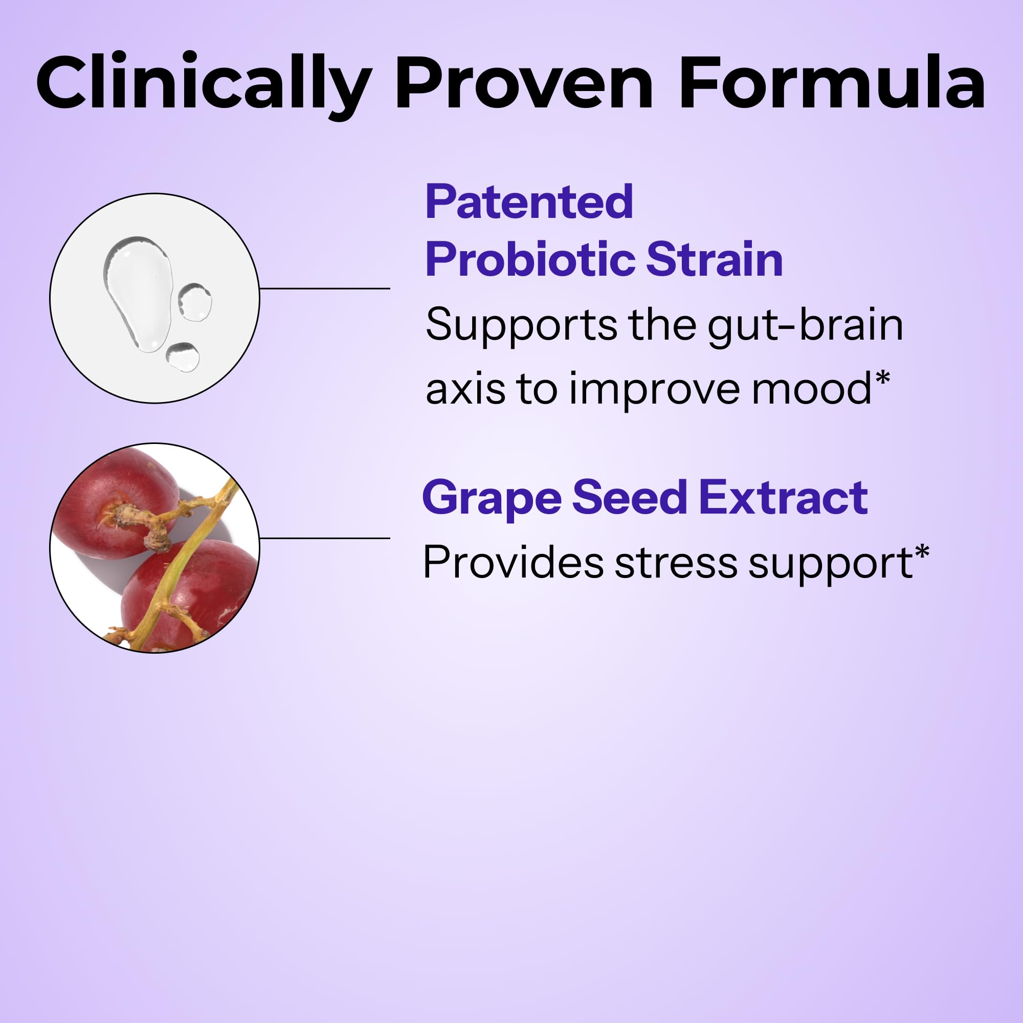 HUM Fan Club Menopause Probiotic Supplement, Estrogen Free Menopause Supplements for Women, Non Hormonal, Supports Energy & Hot Flashes, Grape Seed Extract & Siberian Rhubarb, 30 Vegan Capsules HUM buy supplements canada