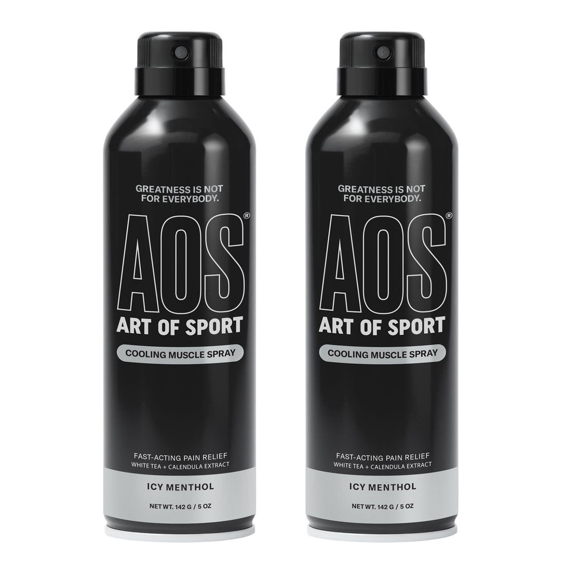 Art of Sport Muscle Relief Spray for Men – Cooling Menthol Pain Relief for Sore Muscles & Joints – Back, Neck, Knee, Shoulder, Hip – Fast-Acting Body Spray – Made for Athletes – 5 fl oz (2-Pack) Art of Sport buy supplements canada