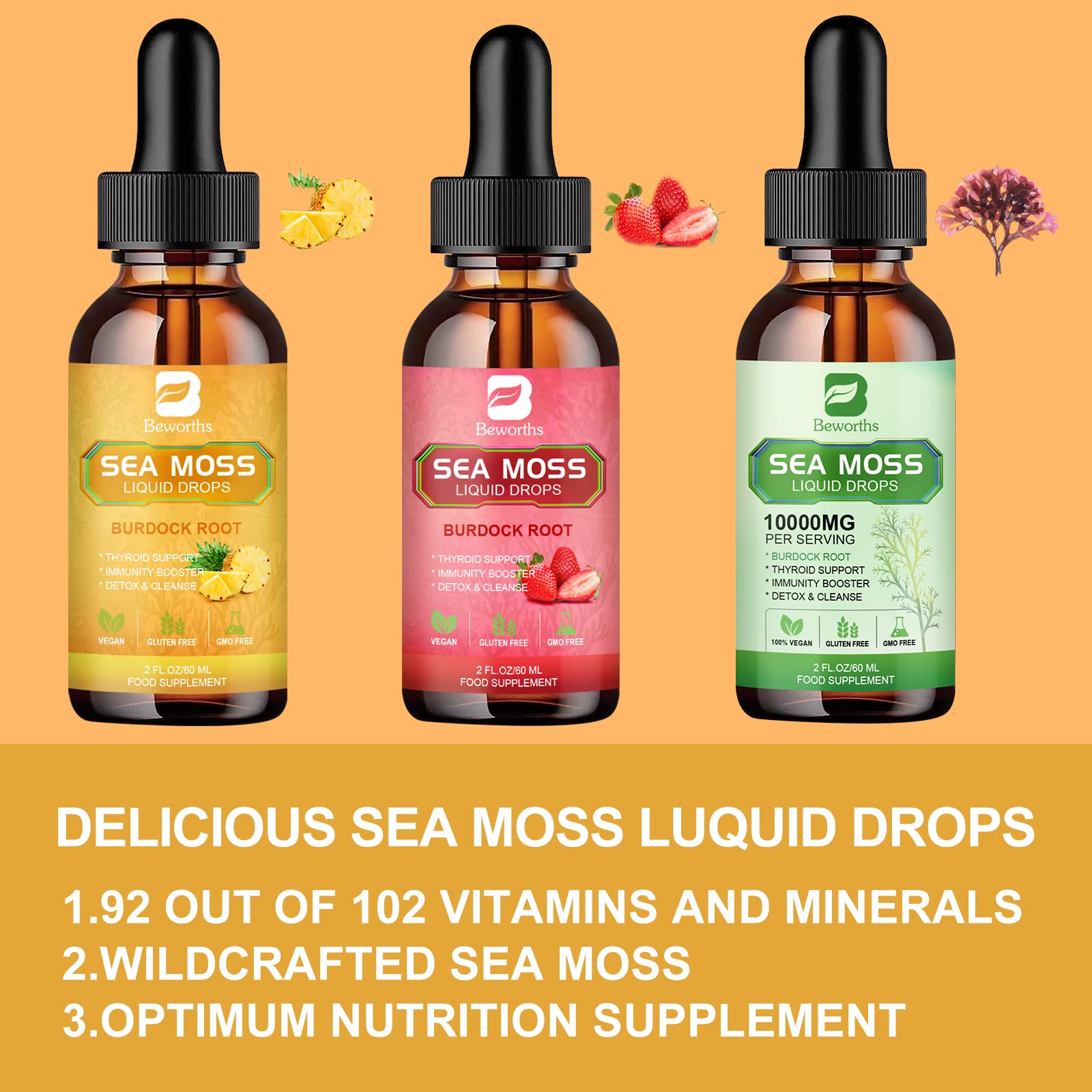 B BEWORTHS Sea Moss Liquid Drops - Organic Irish Sea Moss Gel with Burdock Root B BEWORTHS buy supplements canada