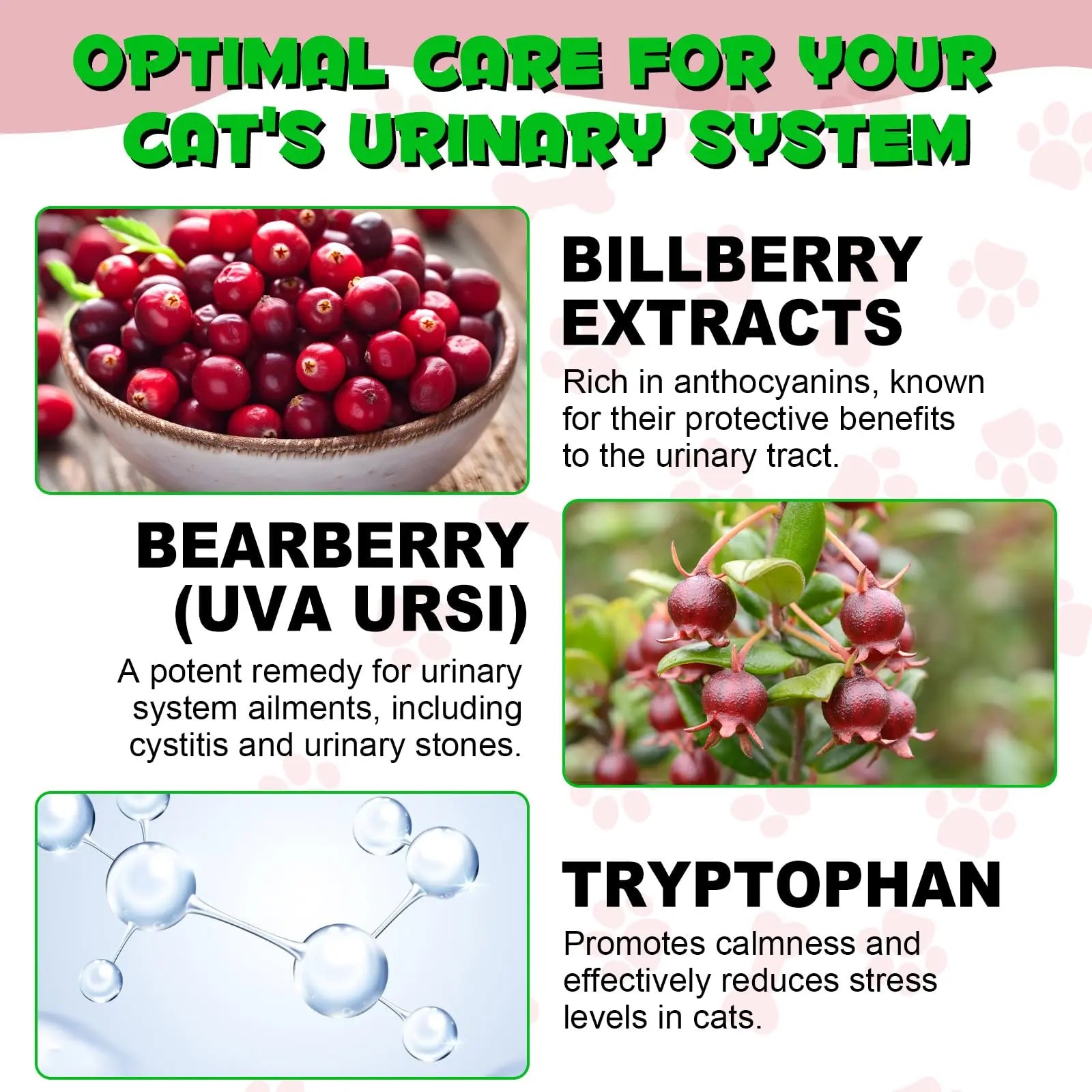 Cat Urinary Tract Infection Treatment, Cat UTI Treatment Drops Supports Bladder, Kidney Stone, Cranberry Kidney Bladder Support Supplement, Chicken Flavor, 60ml BTQAFVZT buy supplements canada