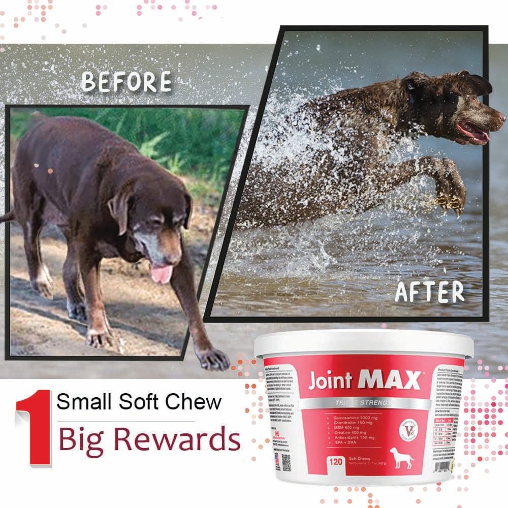 Joint Max TS Joint Supplement Vet Formulated Pain & Inflammation Relief Treats Hip Dysplasia & Arthritis, Glucosamine, Chondroitin, Turmeric, MSM, HA, Creatine, Omega 3 EPA + DHA.120 Soft Chews Joint Max buy supplements canada
