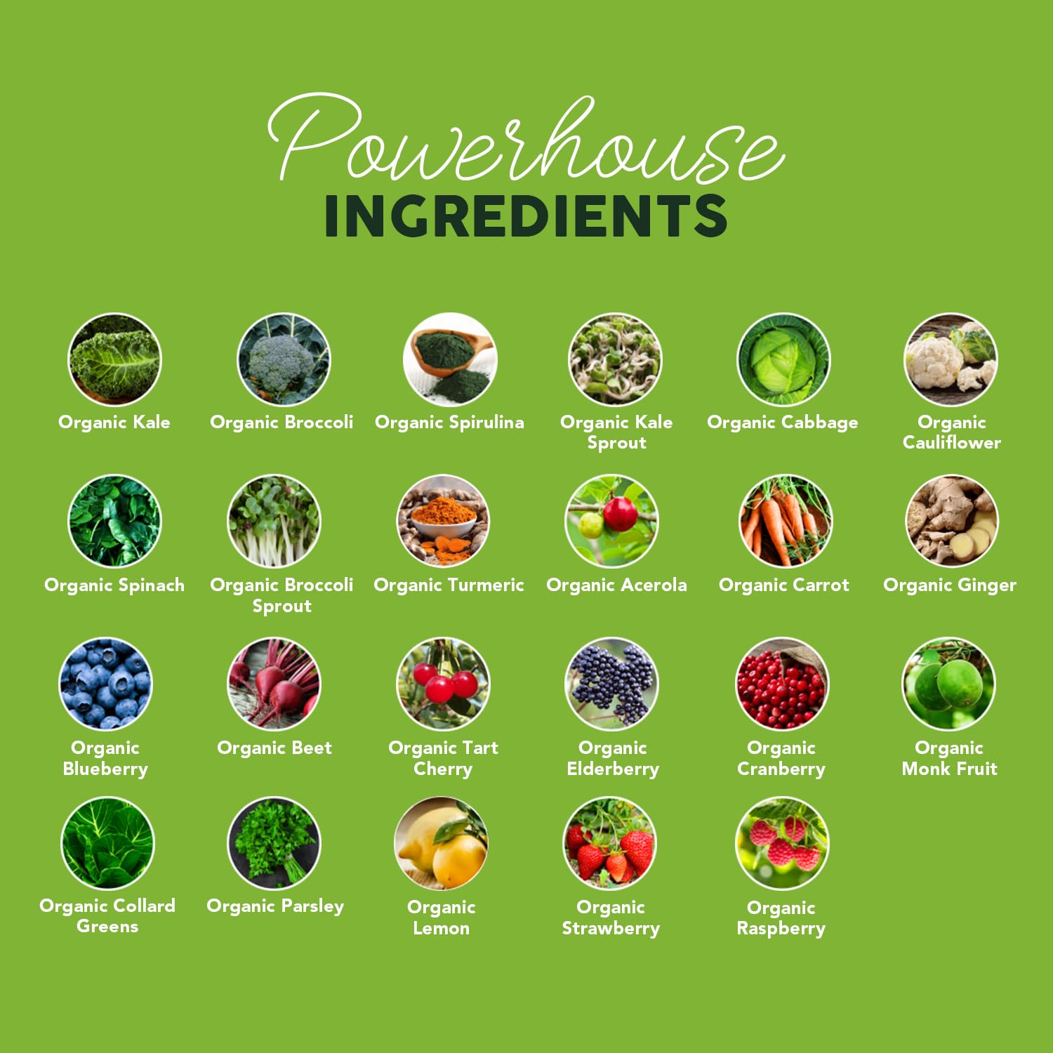 Paleovalley Organic Supergreens Powder - 23 Superfoods with Prebiotic Fiber for Energy and Immunity Support - No Cereal Grasses for Maximum Absorption - Pure Unflavored, 30 Servings Paleovalley buy supplements canada