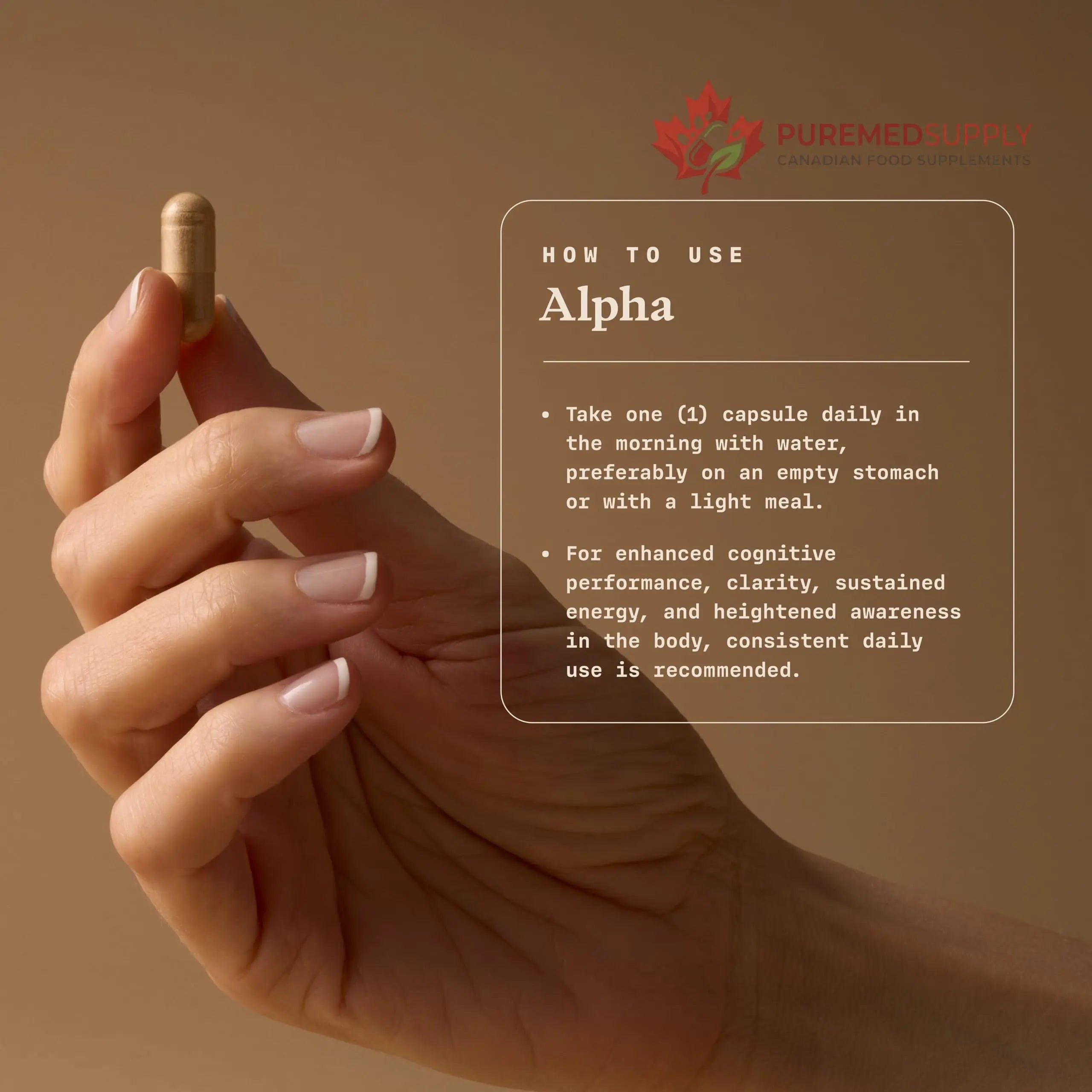 Ultra Life Sport - Alpha Nootropic - 30 Capsule Body and Brain Supplements for Memory and Focus - L-Theanine, B Vitamins, Lion's Mane, Cordyceps Mushrooms, Vitamin D3, K2 MK-7, Lemon Balm and Ginkgo Ultra Life Sport buy supplements canada