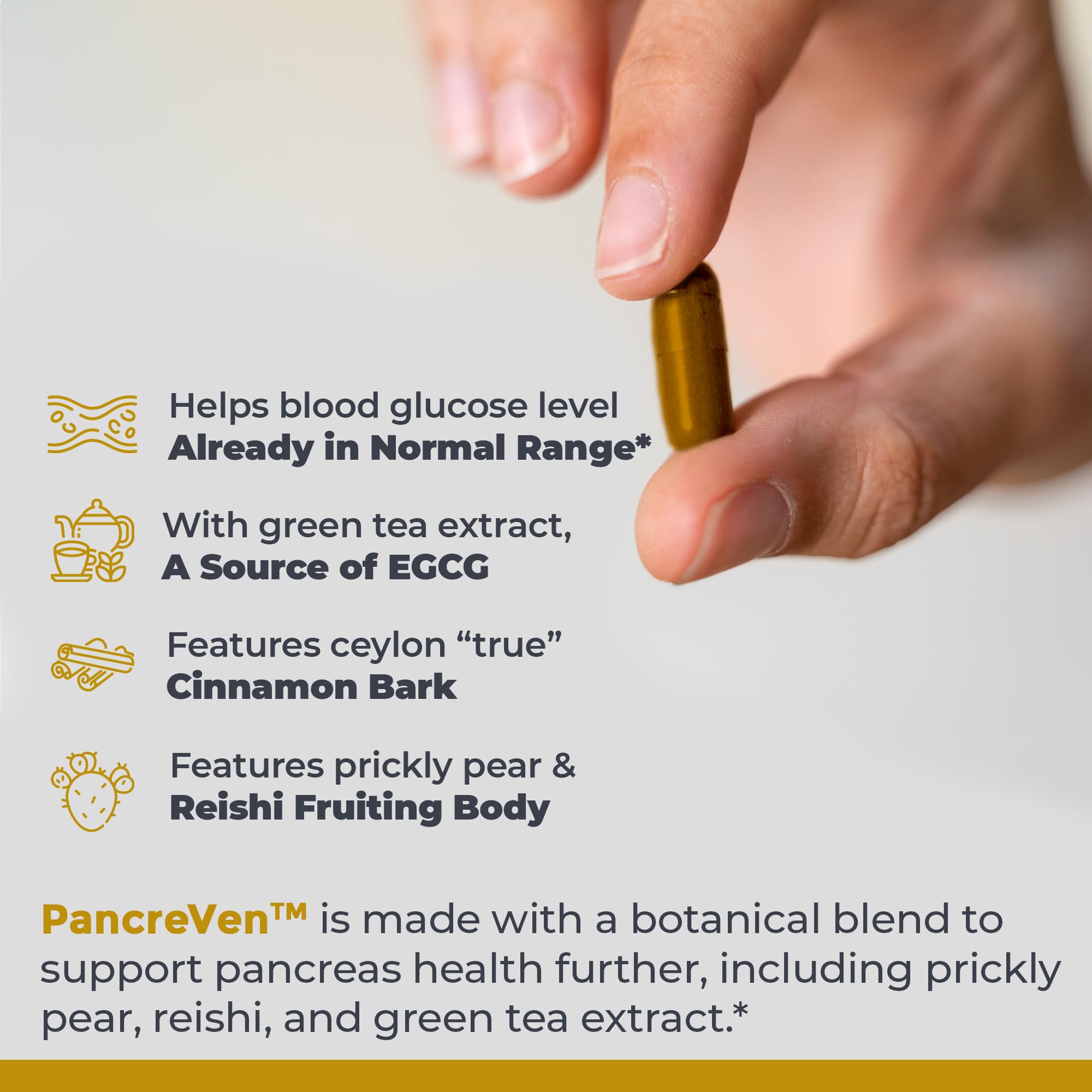 Premier Research Labs PancreVen - Pancreas Support, Pancreas Supplement, Cinnamon Supplements with Organic Ceylon Cinnamon & Prickly Pear to Aid Pancreas Health - 120 Vegetarian Capsules Premier Research Labs buy supplements canada