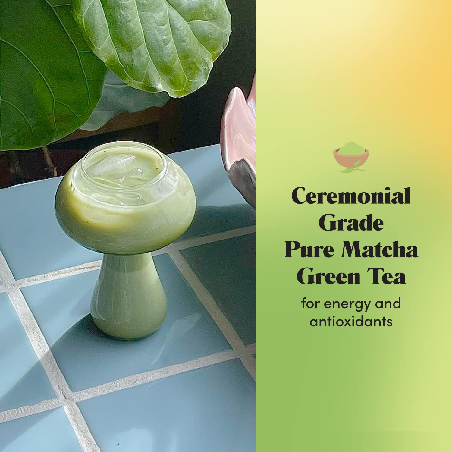 GOLDE - Pure Matcha - Ceremonial Grade Matcha Powder - Green Tea Superfood w/L-Theanine & Antioxidants - 60mg Caffeine - Jitter Free Energy - 100g Pouch GOLDE buy supplements canada