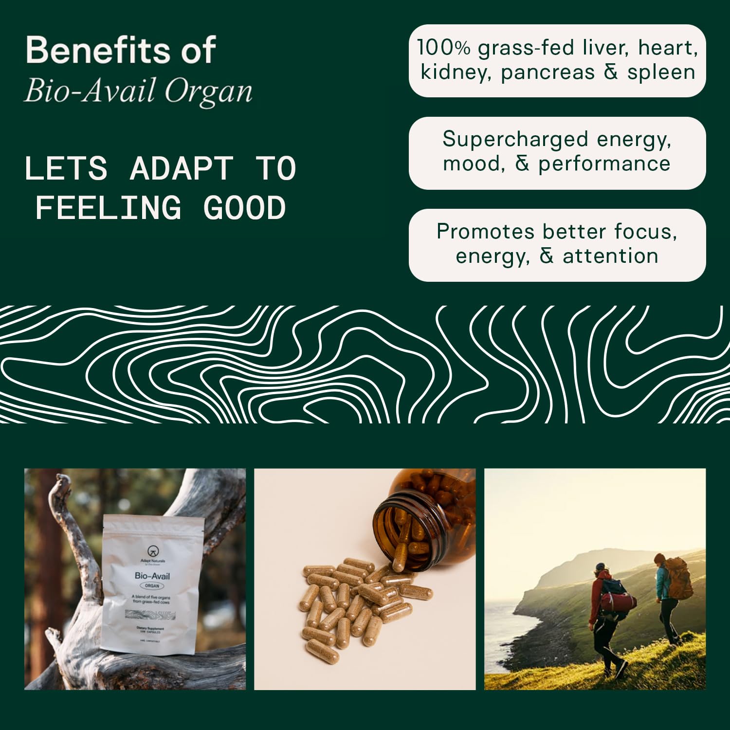 Adapt Naturals Organ Supplement, Bioavailable Grass Fed Beef Liver Capsules, Blend of Liver, Heart, Kidney, Pancreas & Spleen, Support Liver Cleanse Detox & Repair | Source of CoQ10-30 Days Supply ADAPT NATURALS BY CHRIS KRESSER buy supplements canada