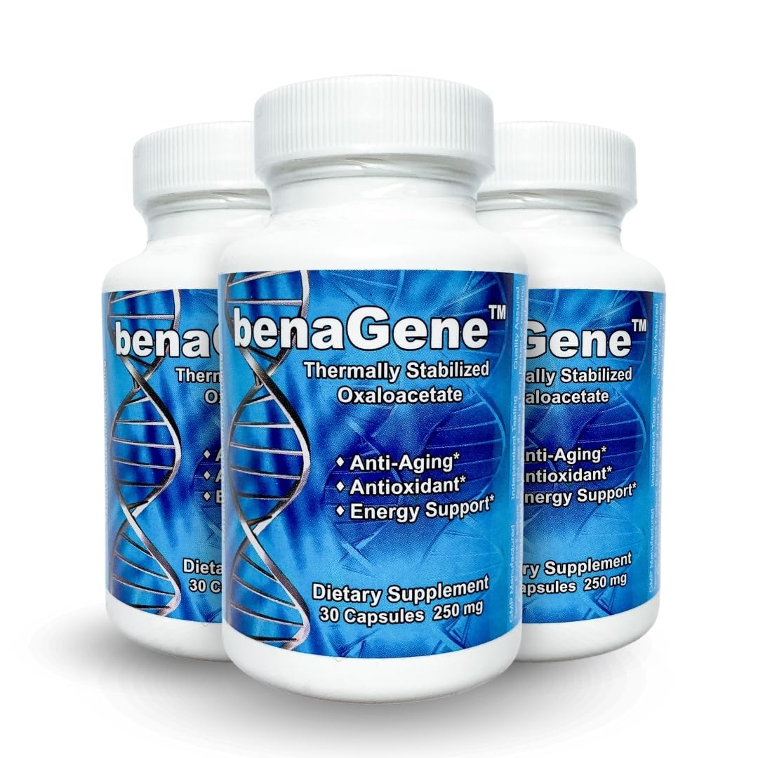 Benagene Oxaloacetate Supplement - Supports Cellular Energy, Healthy Metabolism, & Body Regulation - Thermally Stabilized with Vitamin C - Non-GMO & Vegan - Once Daily (90 Servings) Benagene buy supplements canada