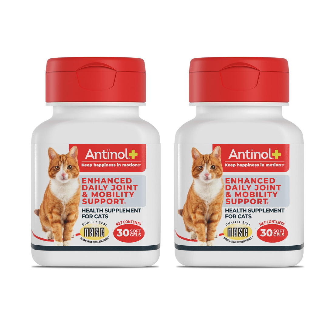 Antinol Plus, Mobility, Hip, and Joint Supplement for Cats, Green-Lipped Mussels and Krill Oil - Cat Joint Supplement, 60 Soft Gels Antinol buy supplements canada