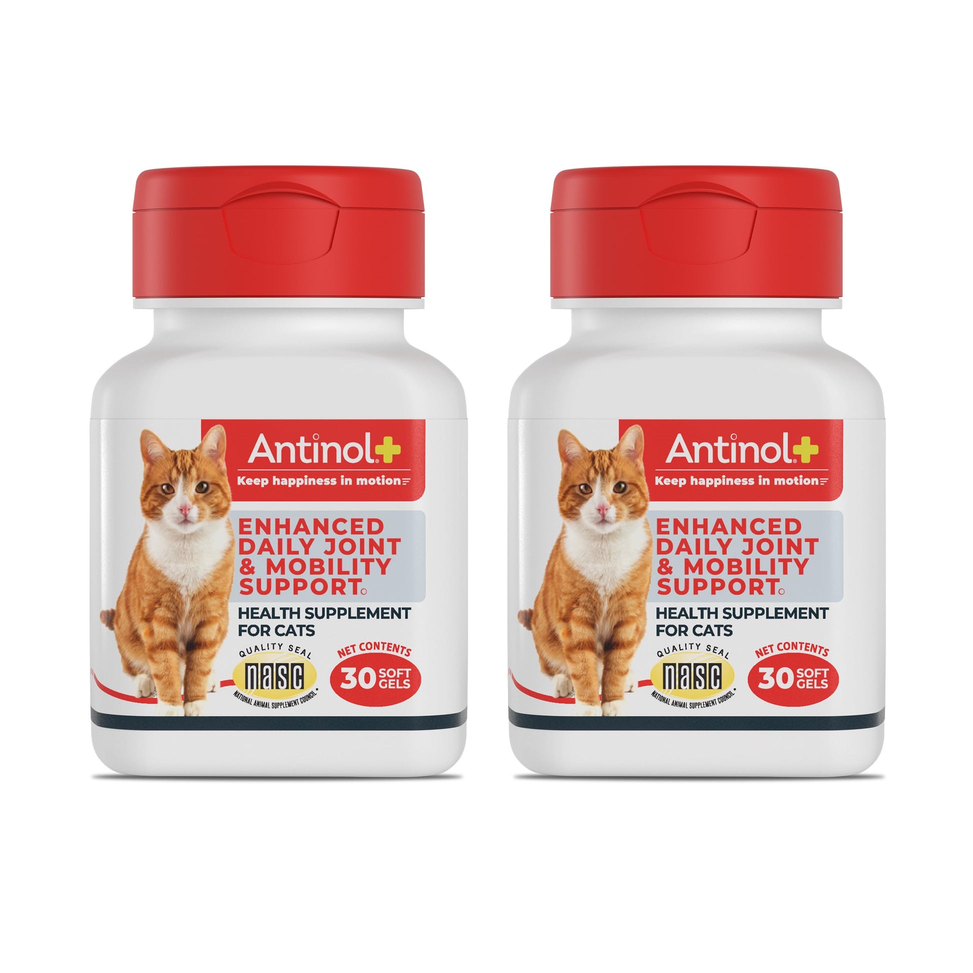 Antinol Plus, Mobility, Hip, and Joint Supplement for Cats, Green-Lipped Mussels and Krill Oil - Cat Joint Supplement, 60 Soft Gels Antinol buy supplements canada