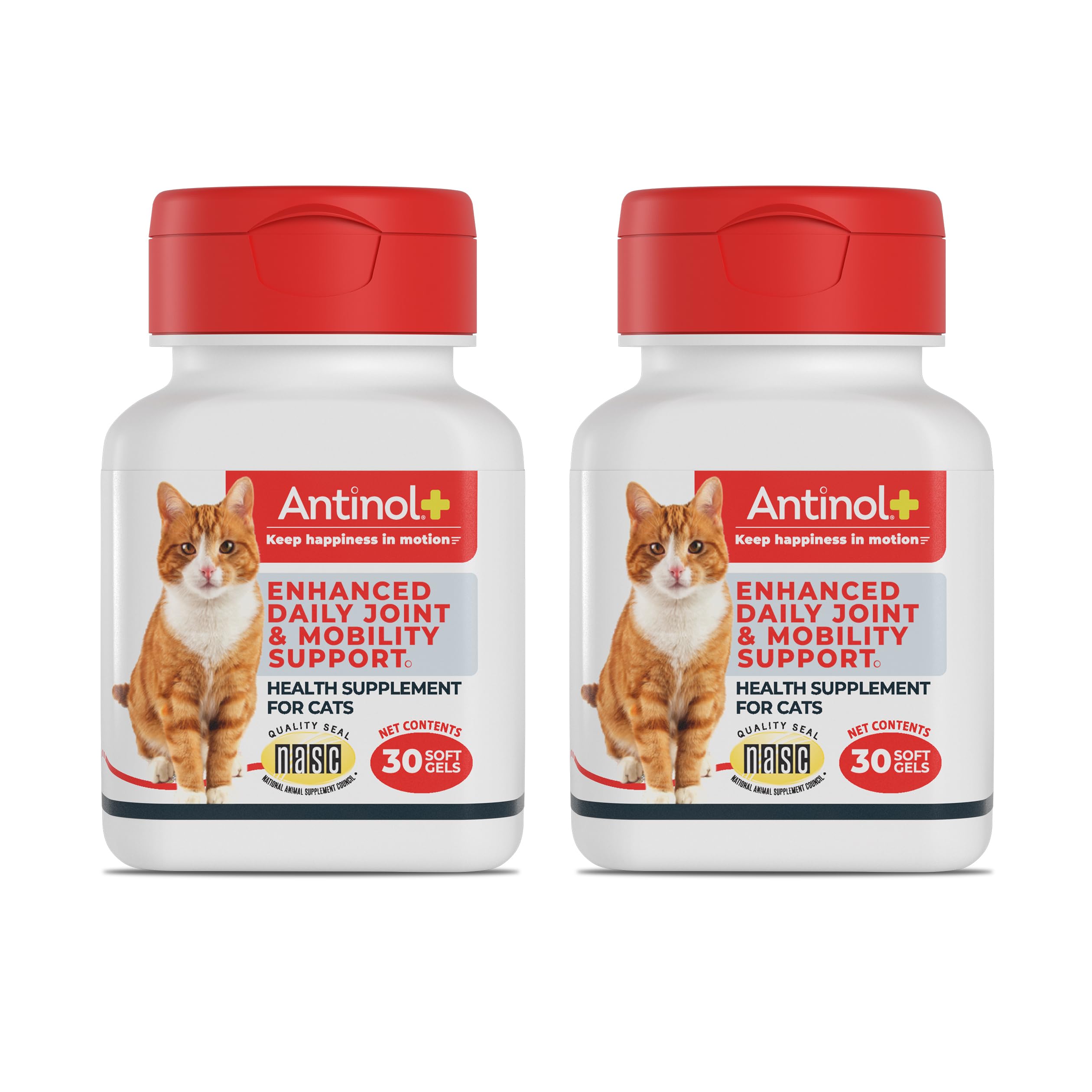Antinol Plus, Mobility, Hip, and Joint Supplement for Cats, Green-Lipped Mussels and Krill Oil - Cat Joint Supplement, 60 Soft Gels Antinol buy supplements canada