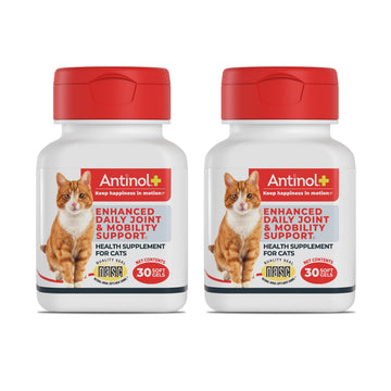 Antinol Plus, Mobility, Hip, and Joint Supplement for Cats, Green-Lipped Mussels and Krill Oil - Cat Joint Supplement, 60 Soft Gels Antinol buy supplements canada