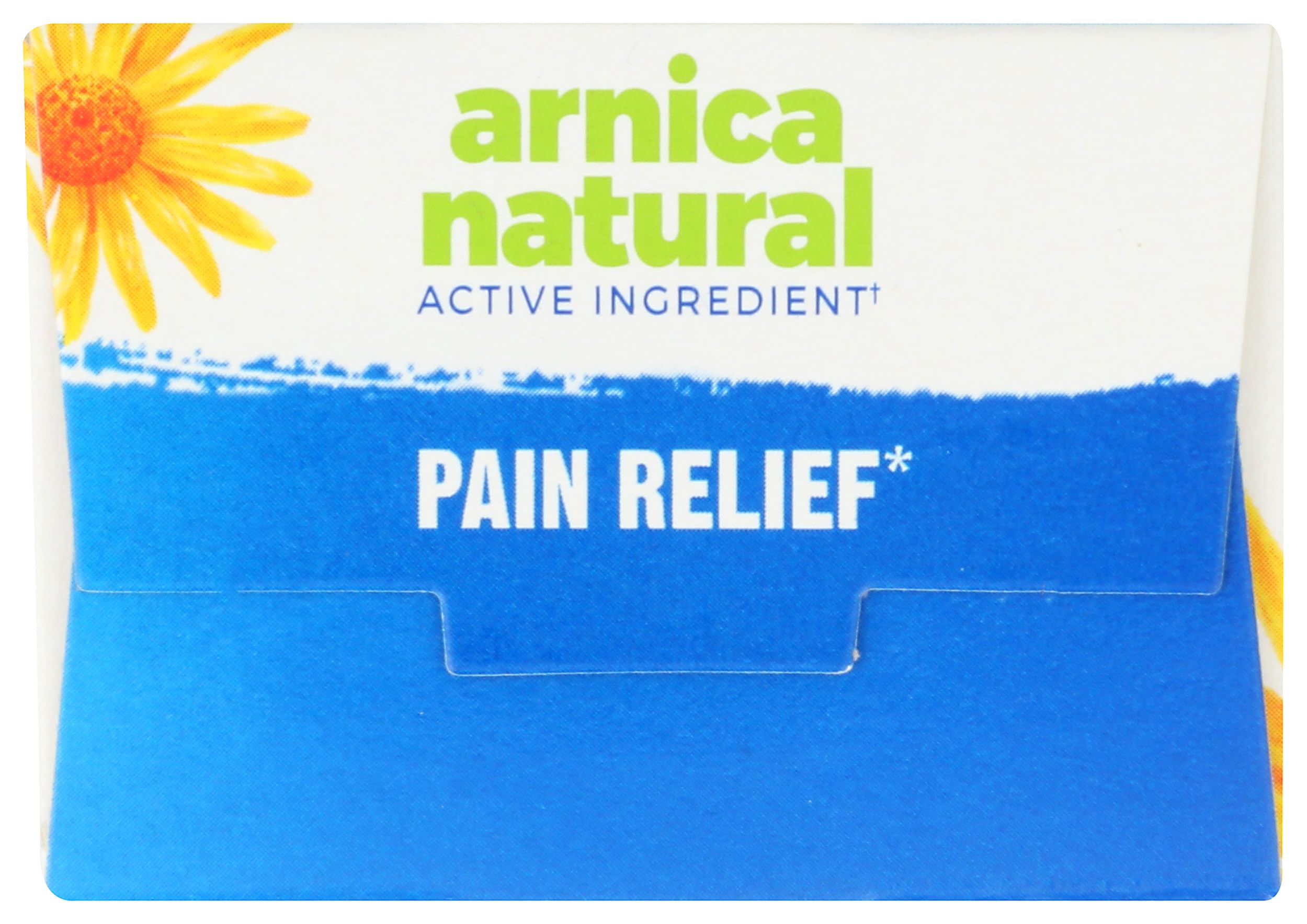 Boiron Arnicare Cream for Joint Pain, Muscle Pain, Swelling, Soreness, Stiffness, and Bruises - Fast Absorbing and Fragrance-Free - 4.2 oz Boiron buy supplements canada