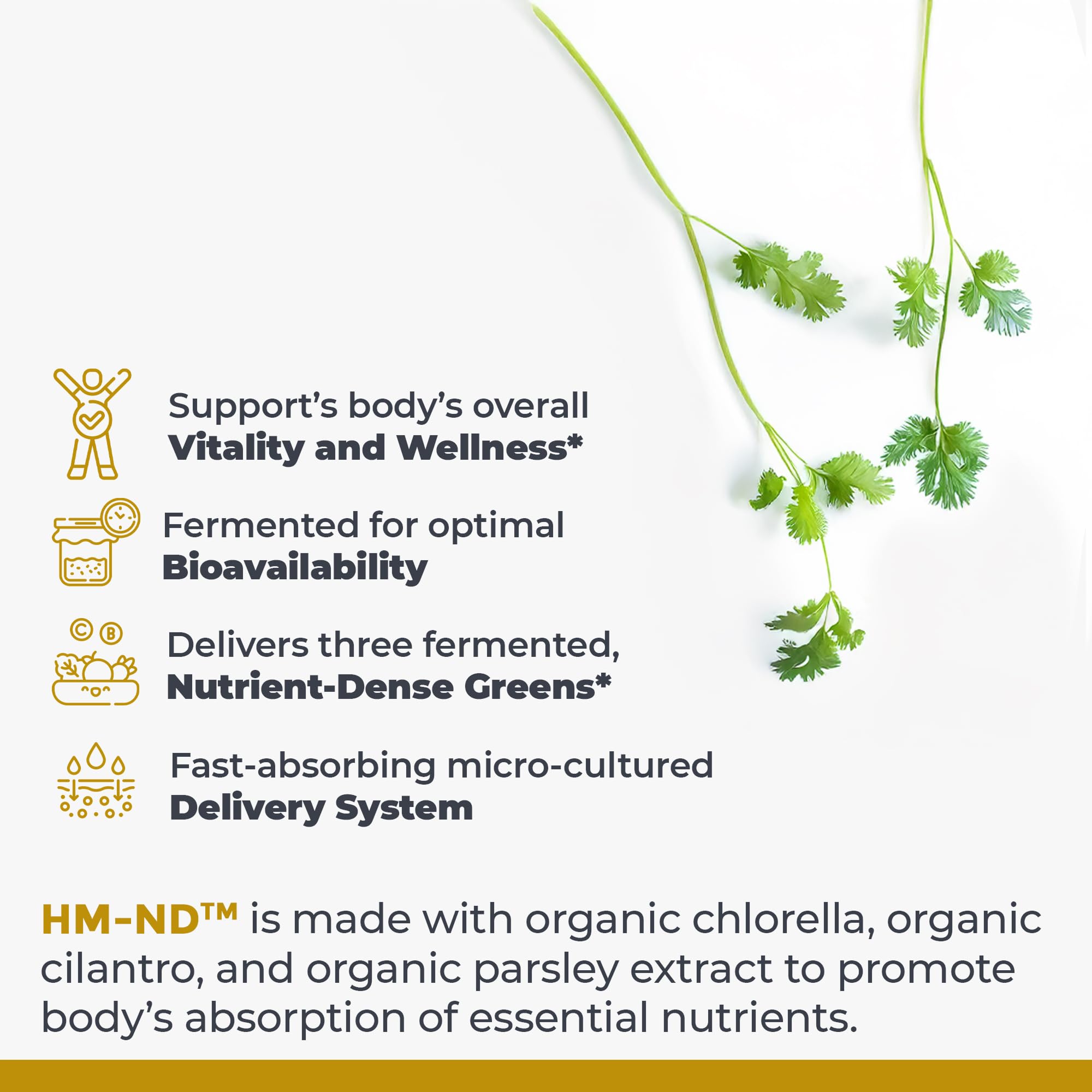 Premier Research Labs Fermented HM-ND - Cilantro, Parsley, and Chlorella Liquid, Full Body Detox and Cleanse for Men and Women, Cilantro Supplement with Organic Herbal Extracts - 8 Fl Oz Premier Research Labs buy supplements canada