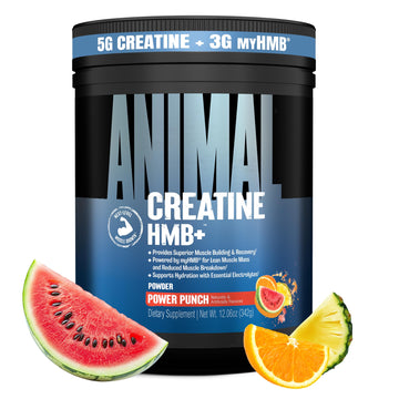 Animal Creatine HMB Powder – 3g myHMB + 5g Creatine with Electrolytes for Recovery & Daily Energy – Power Punch Flavor, 30 Servings Animal buy supplements canada